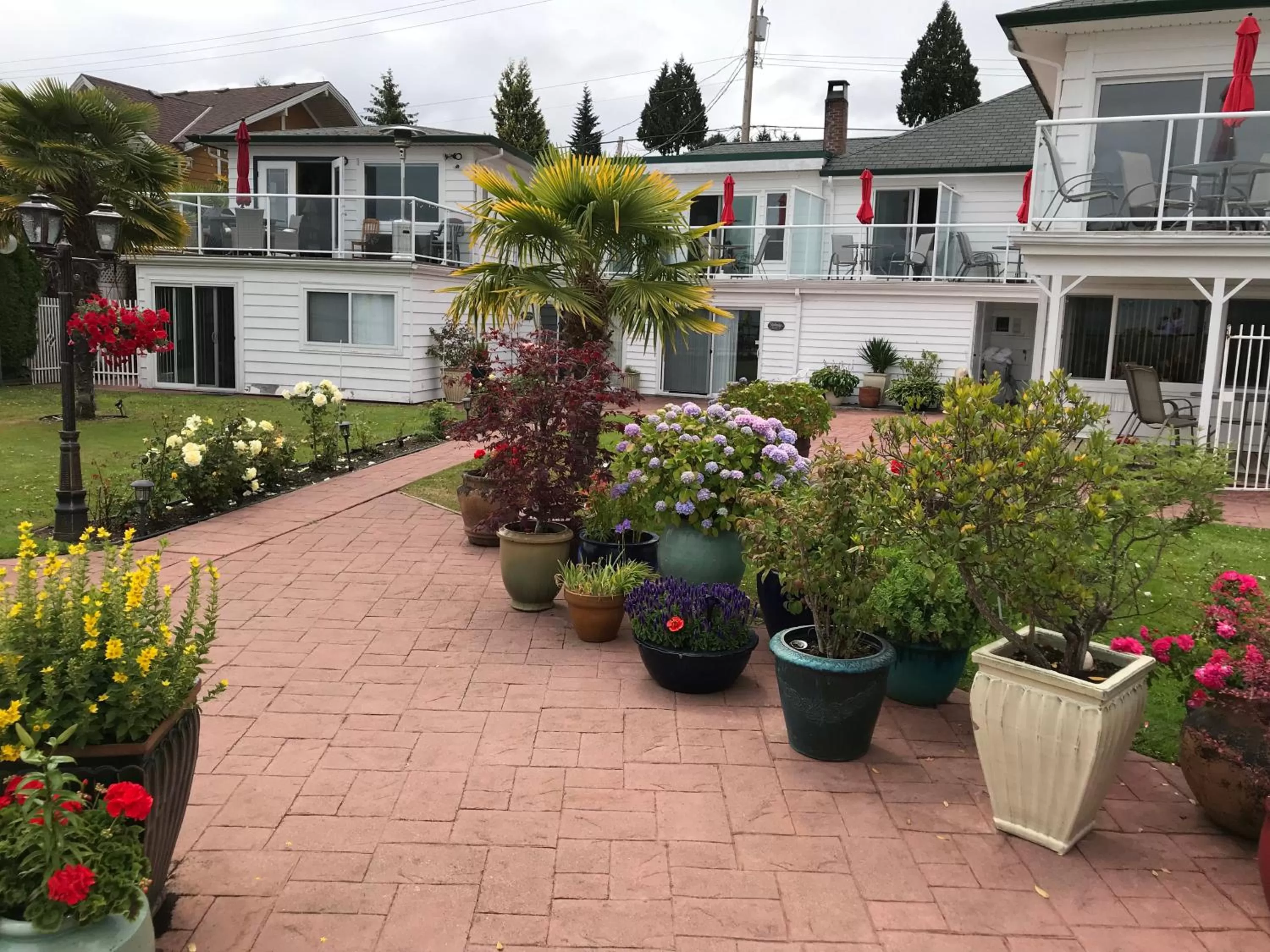 Buena Vista by the Sea