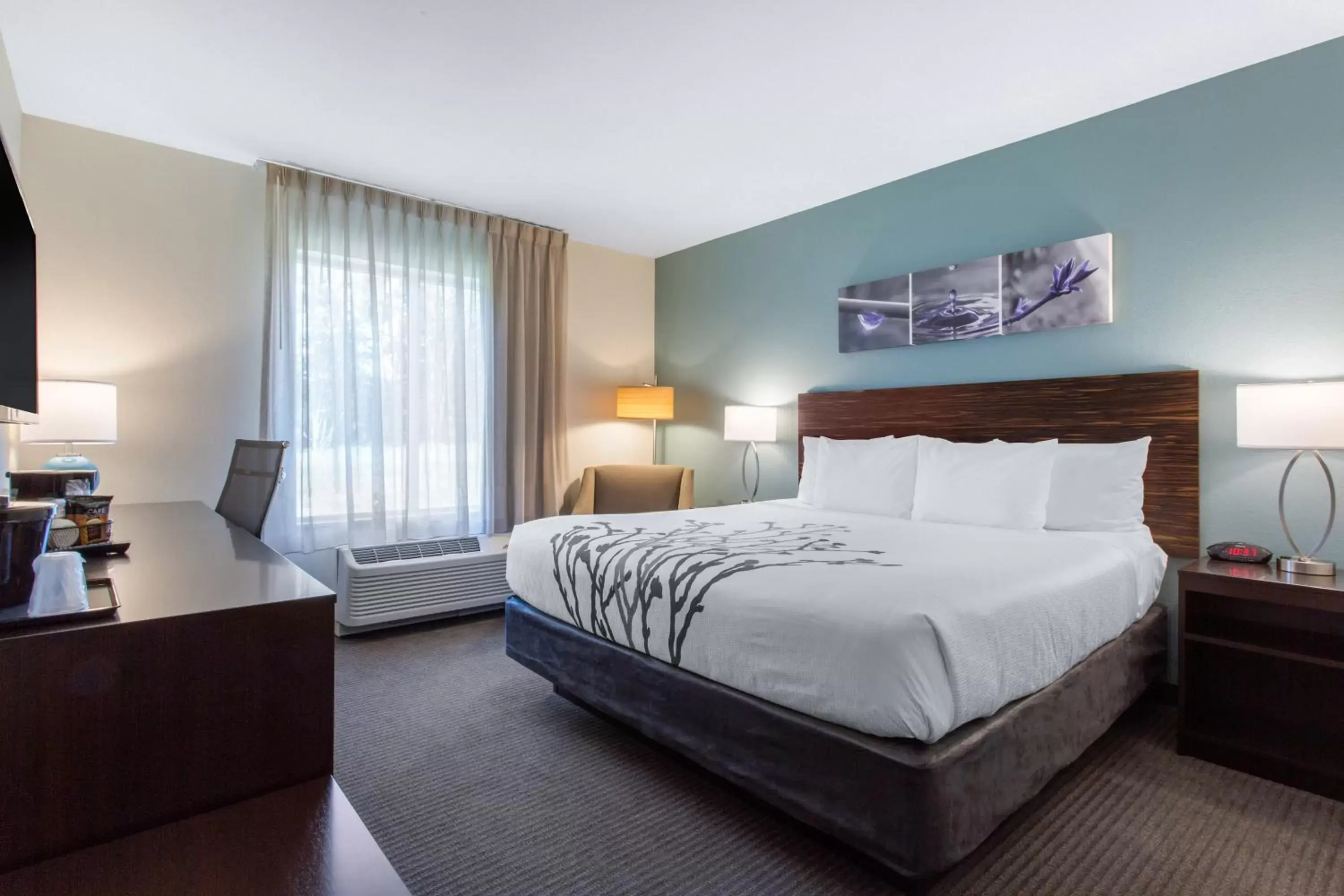 King Room - Accessible/Non-Smoking in Sleep Inn & Suites Monroe - Woodbury King Room - Accessible/Non-Smoking in Sleep Inn & Suites Monroe - Woodbury