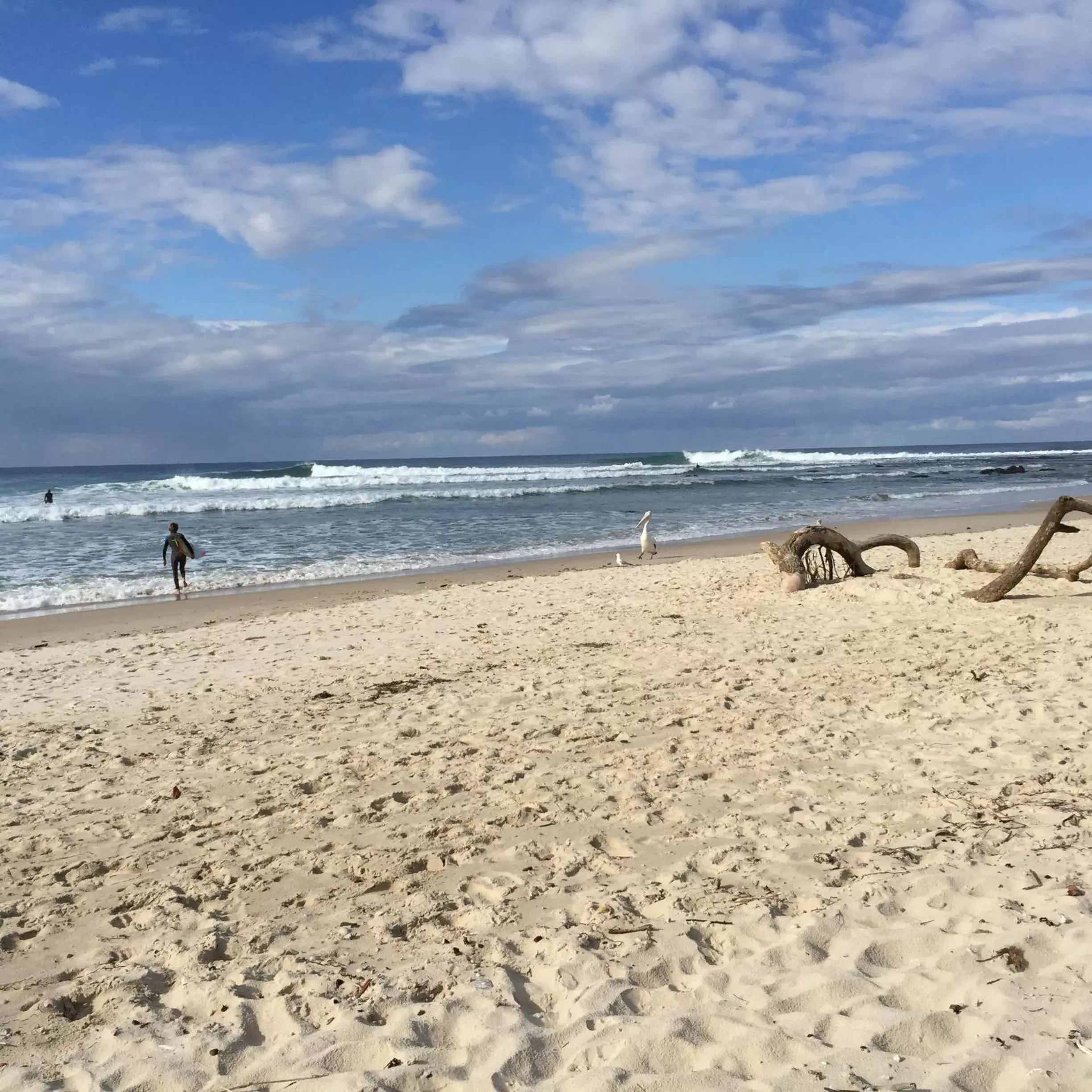 Nearby landmark, Beach in Grandview Apartments