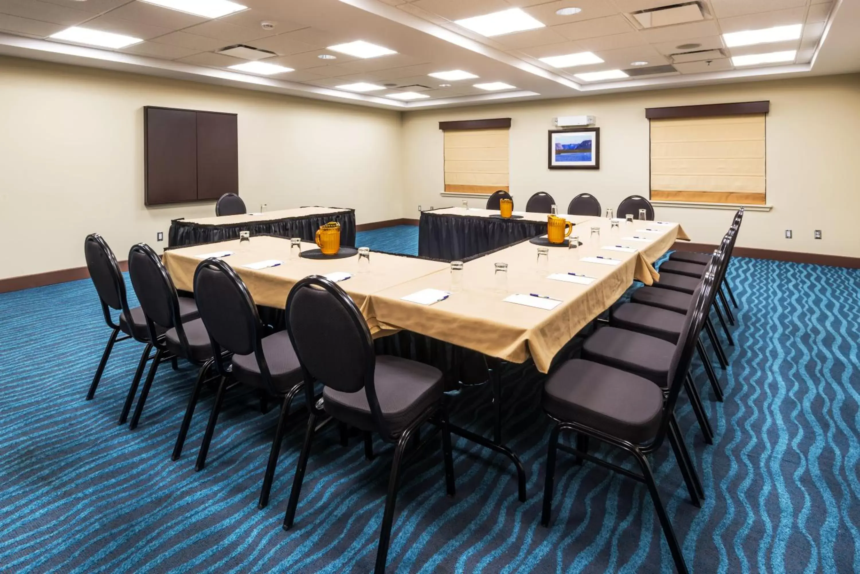 Meeting/conference room in Holiday Inn Express Deer Lake, an IHG Hotel