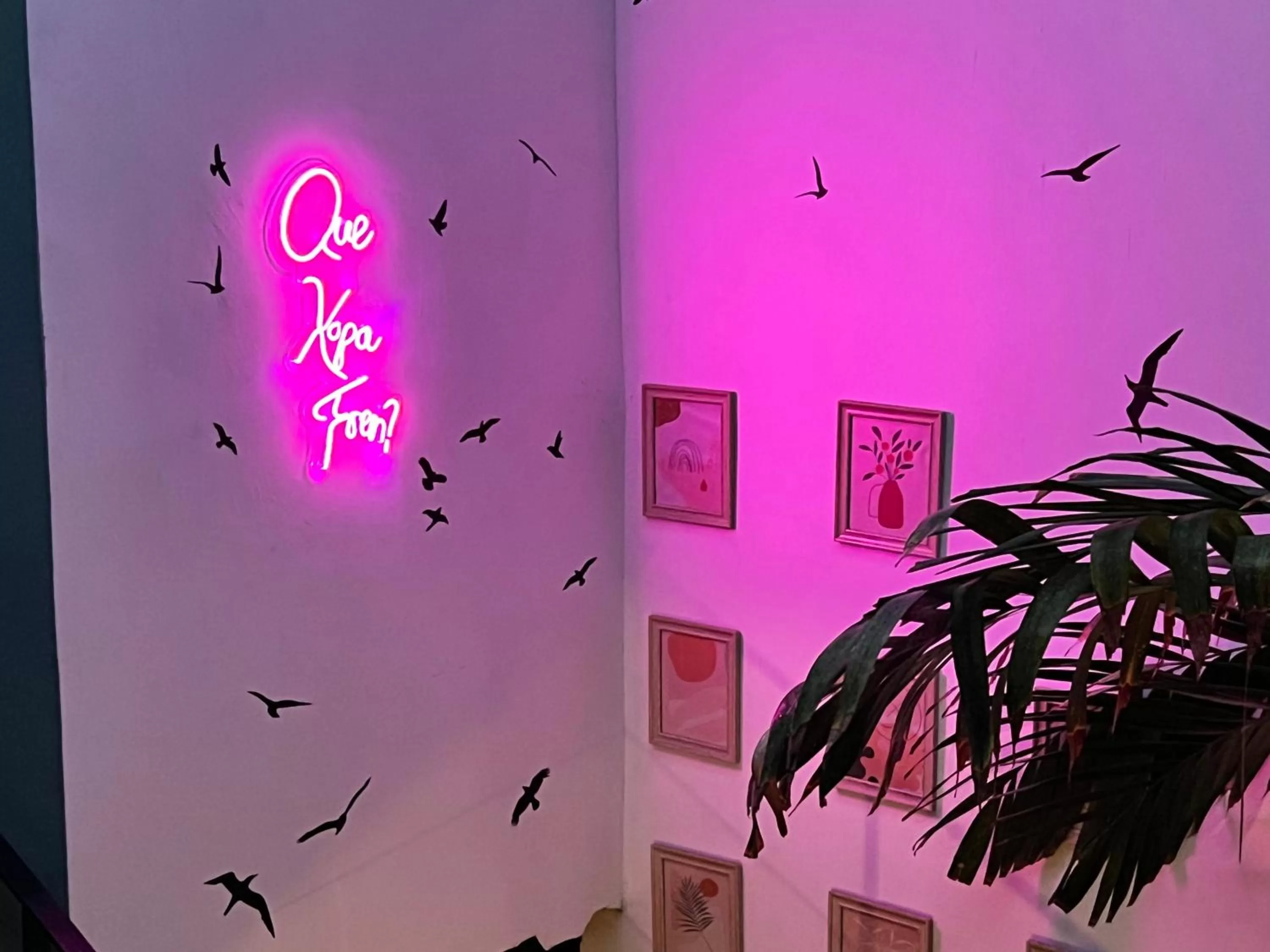 Inner courtyard view in Canova