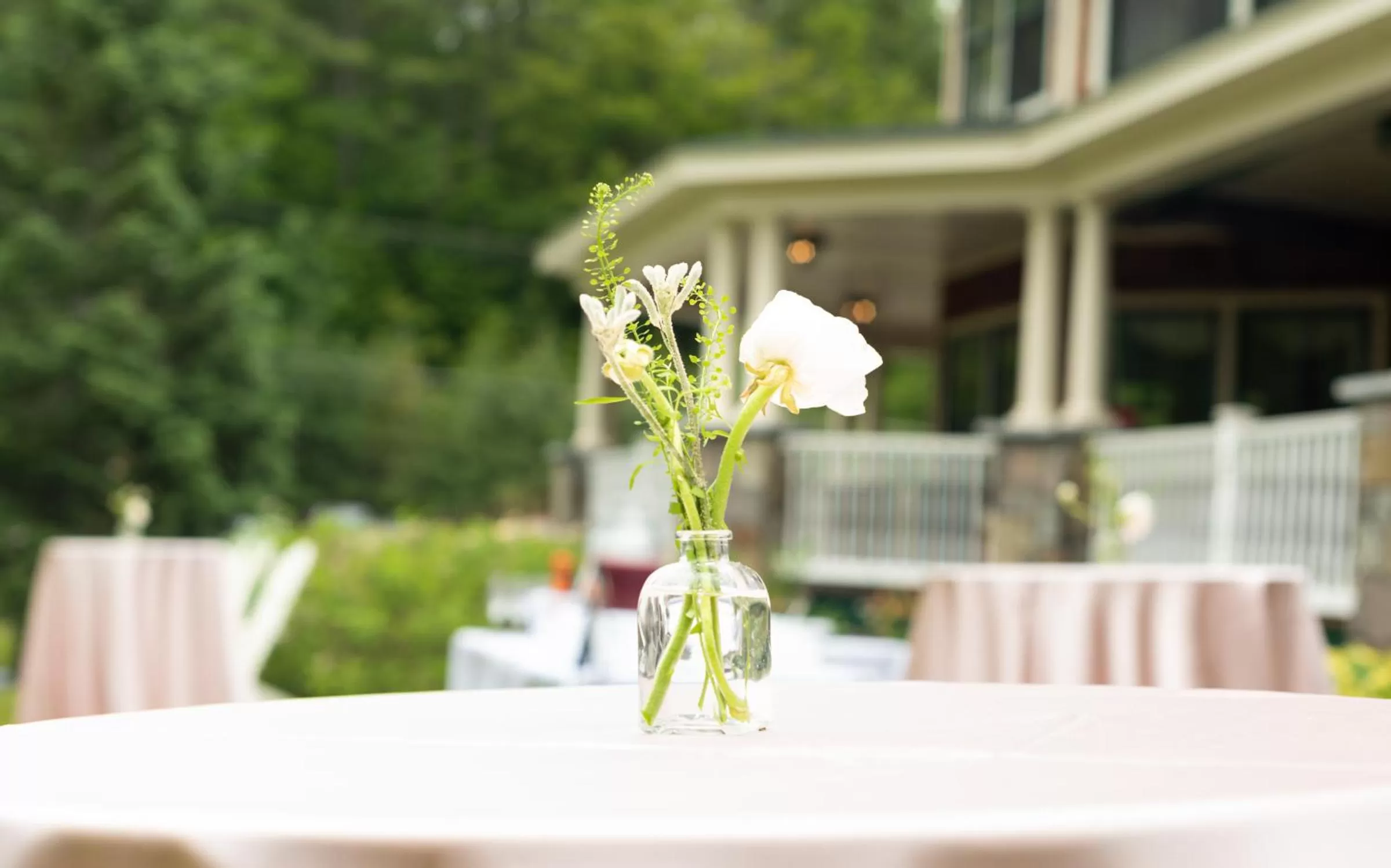 Banquet/Function facilities in The Inn at Thorn Hill