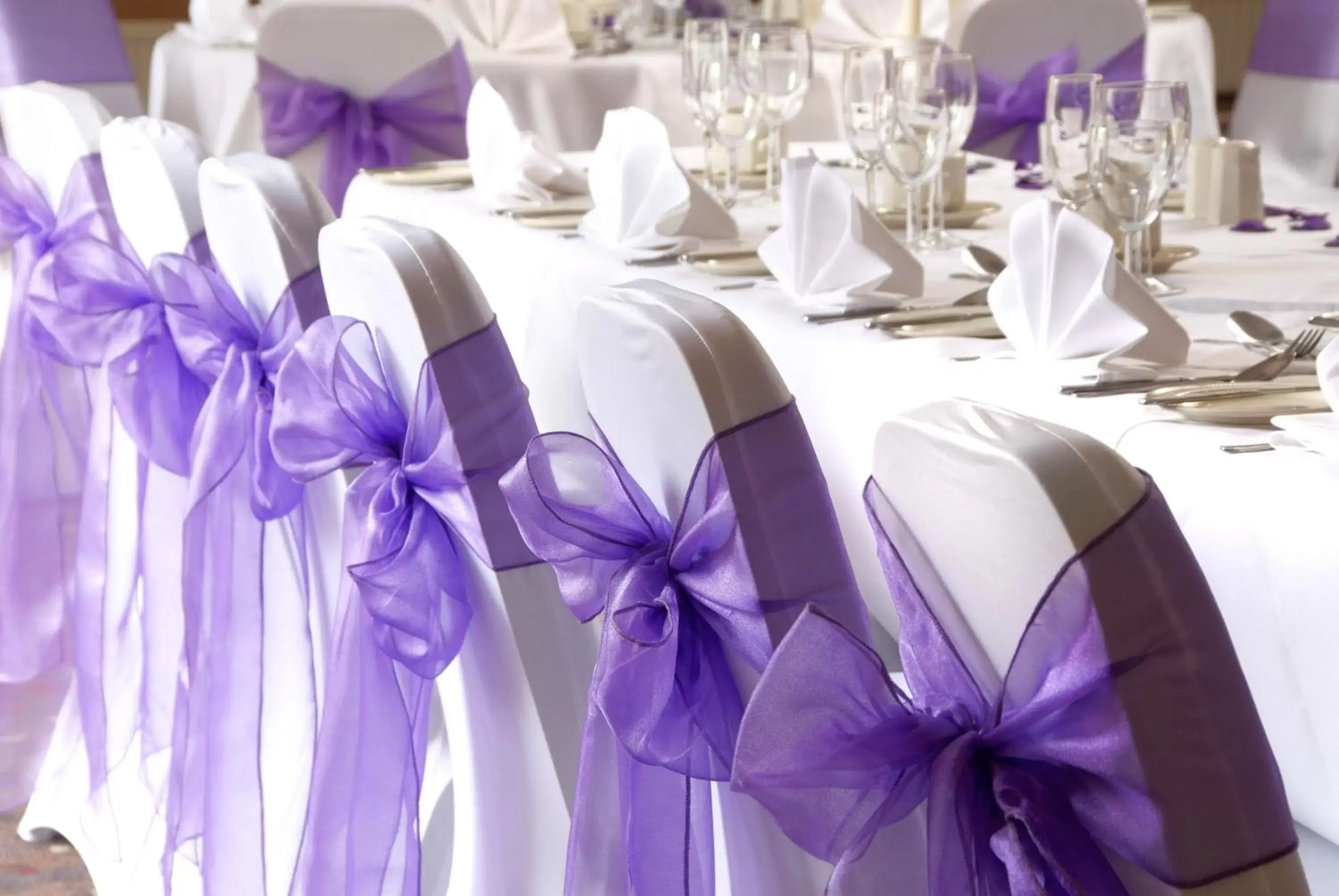 Restaurant/places to eat, Banquet Facilities in The Regency Hotel