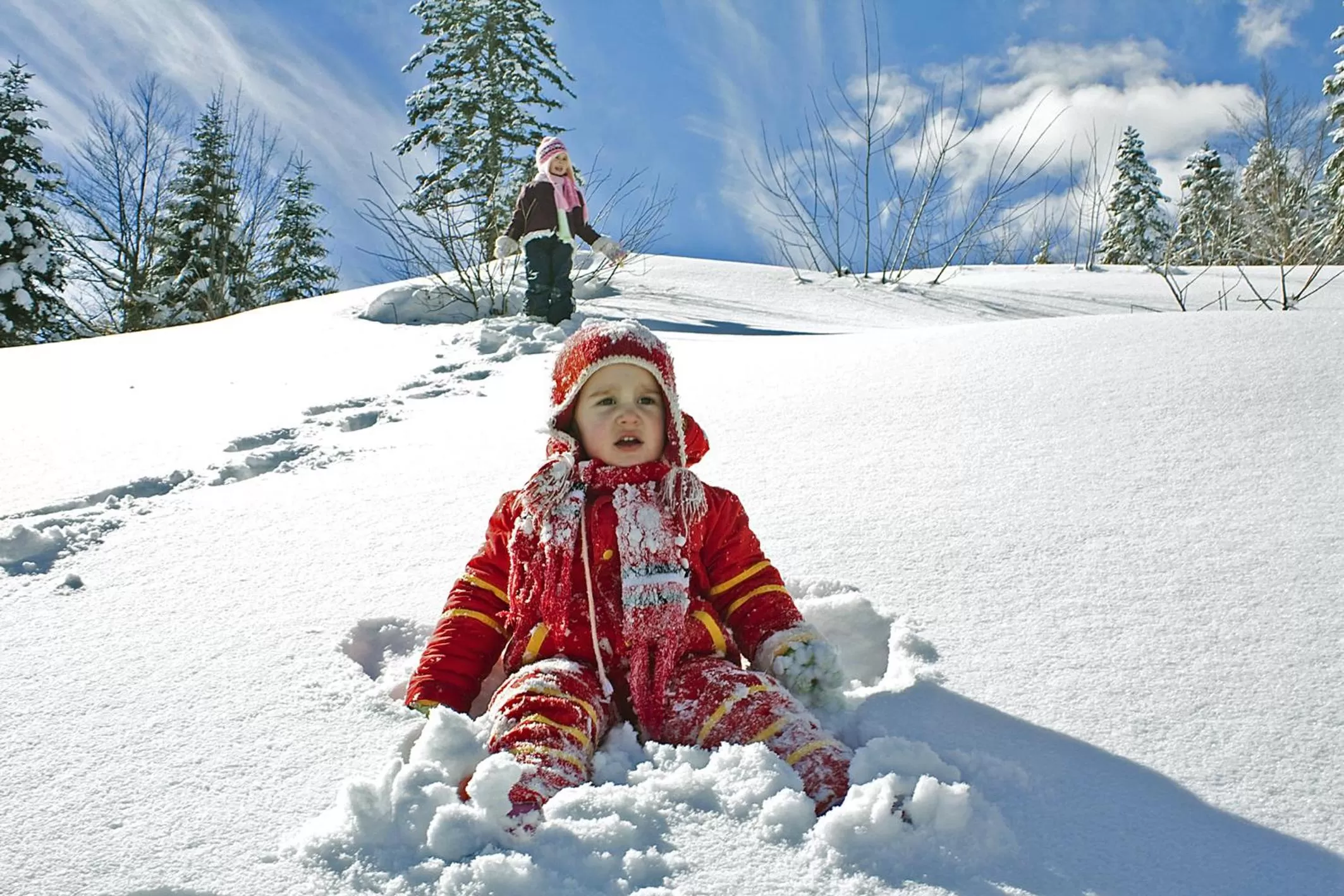 Winter in Ensana Butterfly