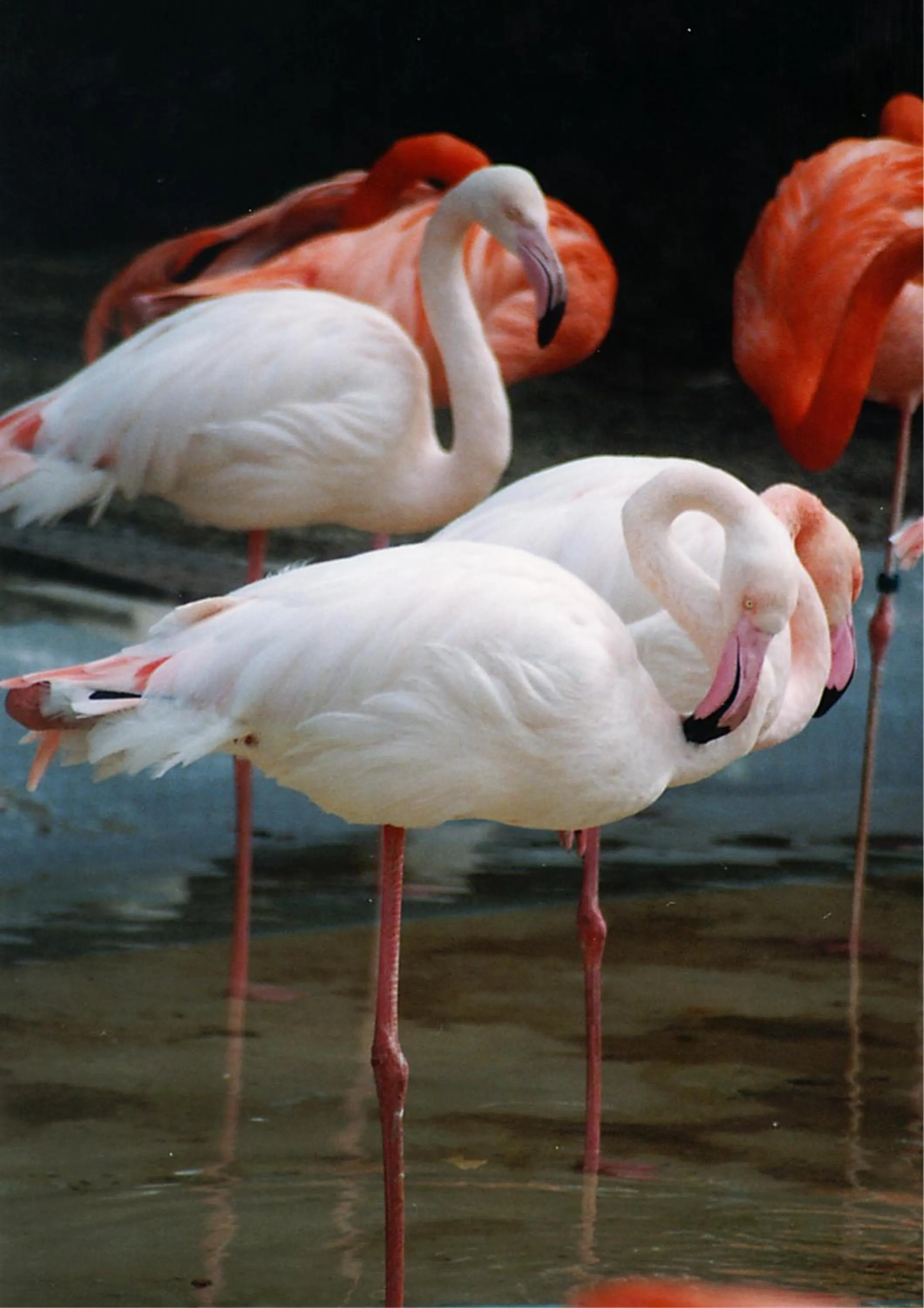 Nearby landmark in KOKO HOTEL Higashiosaka - formerly Hotel Wing International Select Higashi Osaka