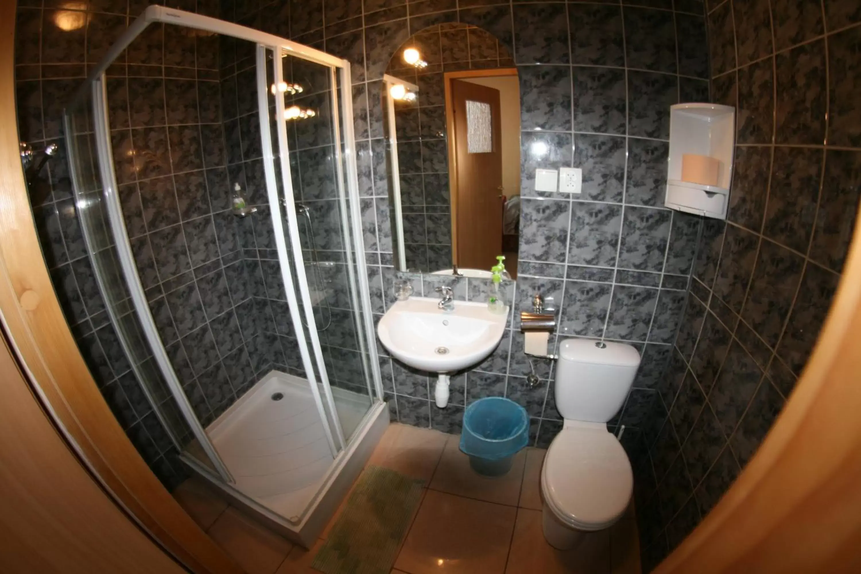 Bathroom in Hotel Daisy Budget Bathroom in Hotel Daisy Budget