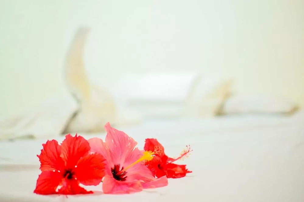 Camaya-an Paradise Beach Resort