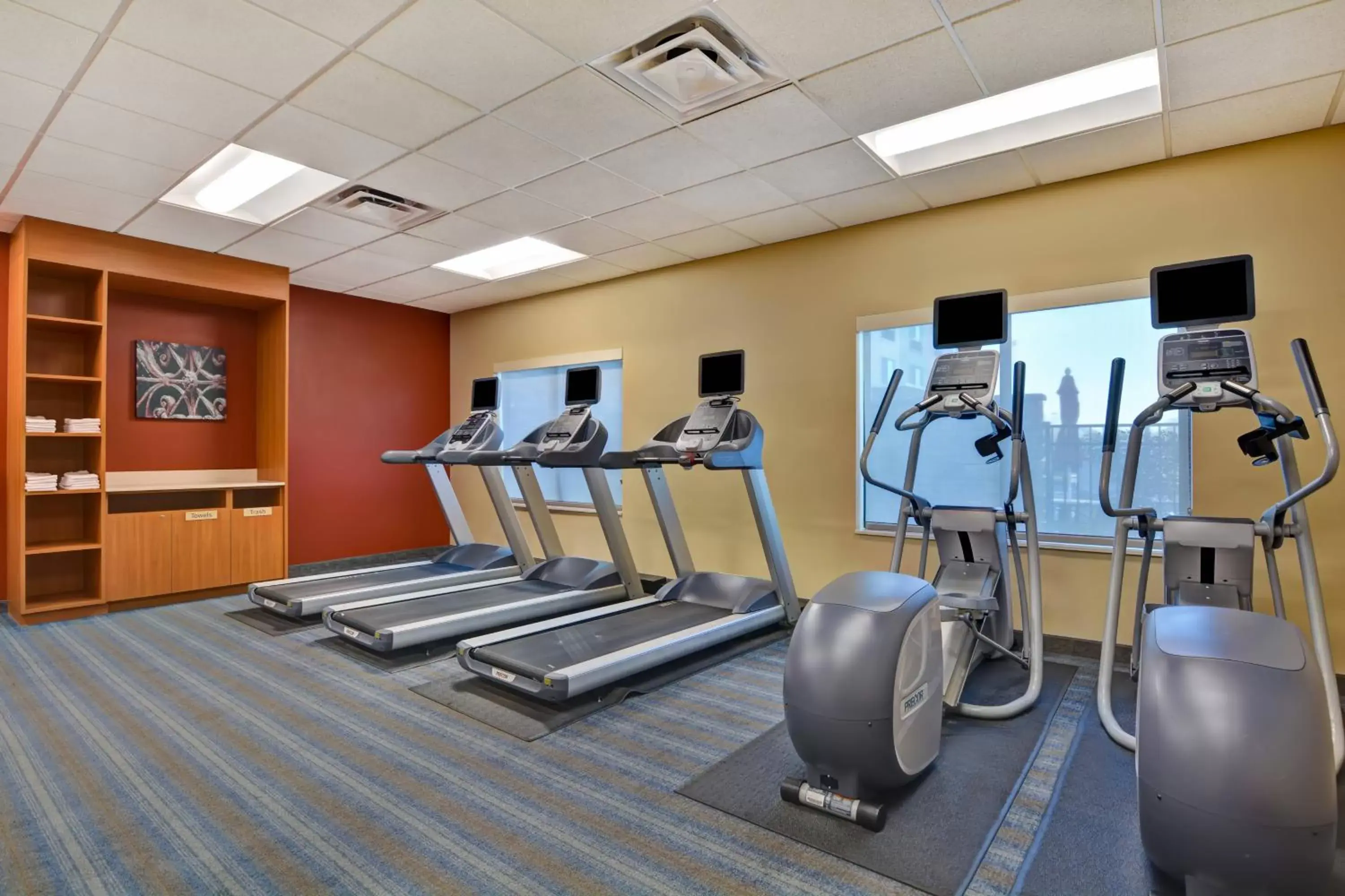 Fitness centre/facilities, Fitness Center/Facilities in TownePlace Suites by Marriott Alexandria