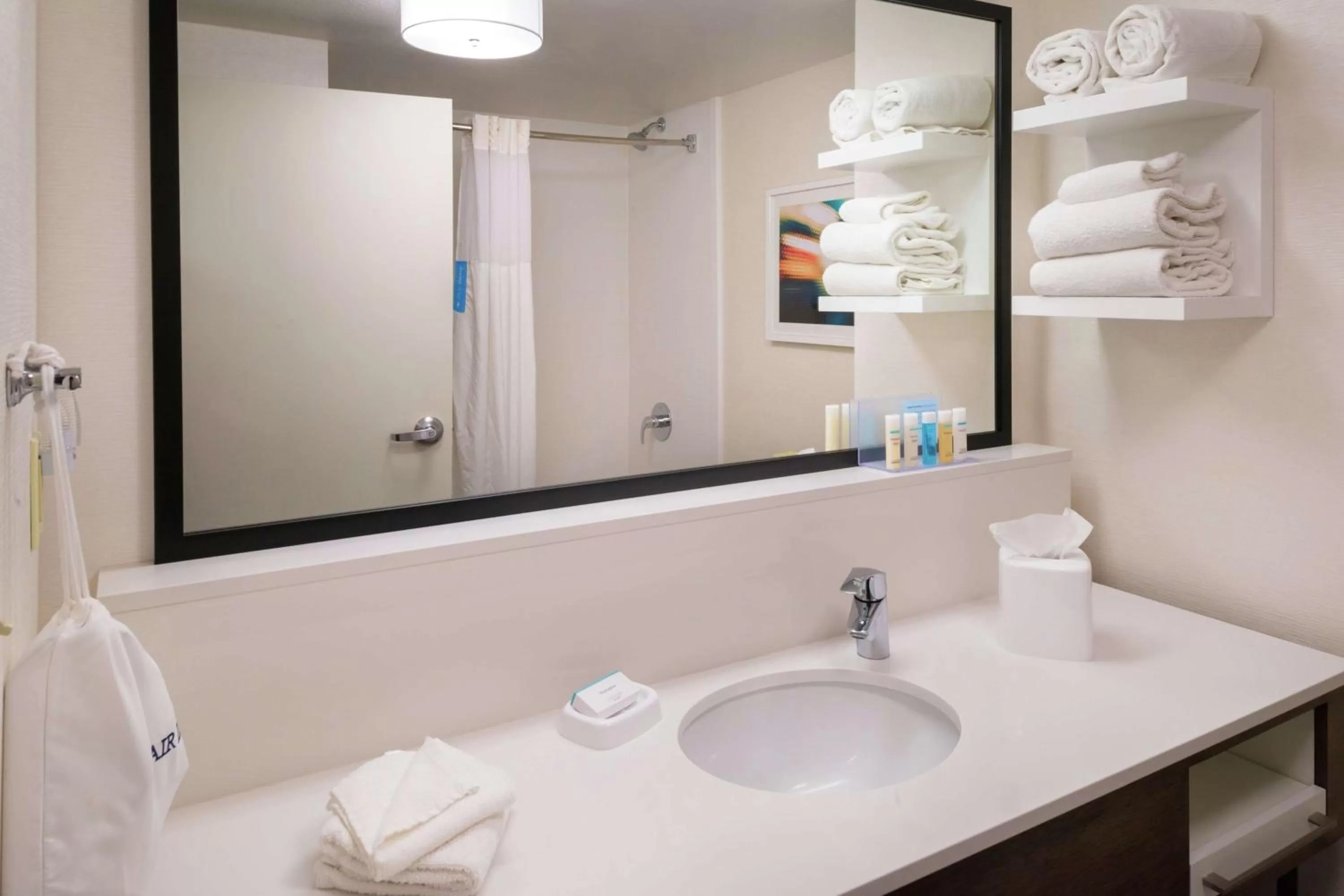 Bathroom in Hampton Inn & Suites Carson City