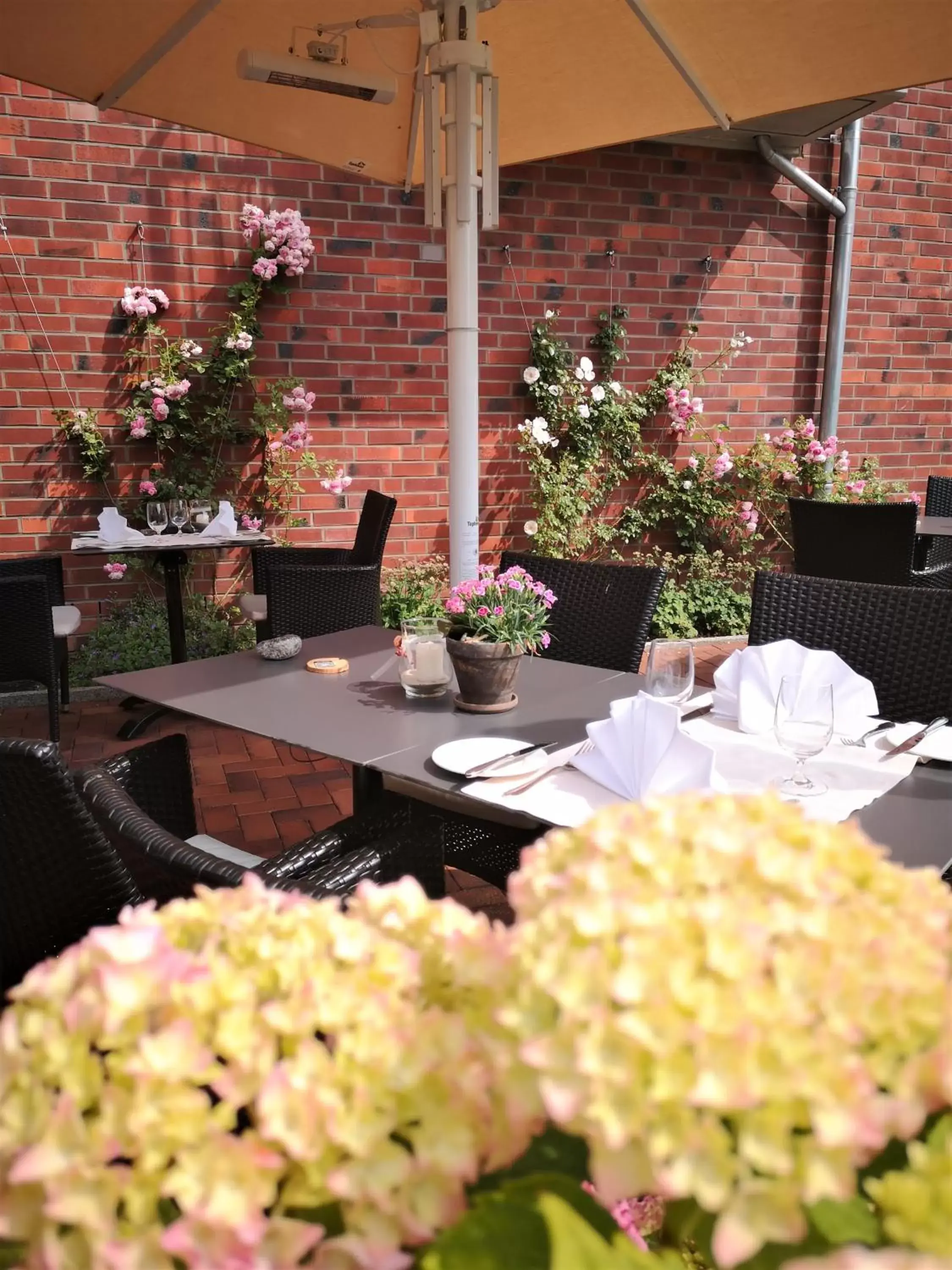 Balcony/Terrace, Restaurant/Places to Eat in Hotel Birke, Ringhotel Kiel