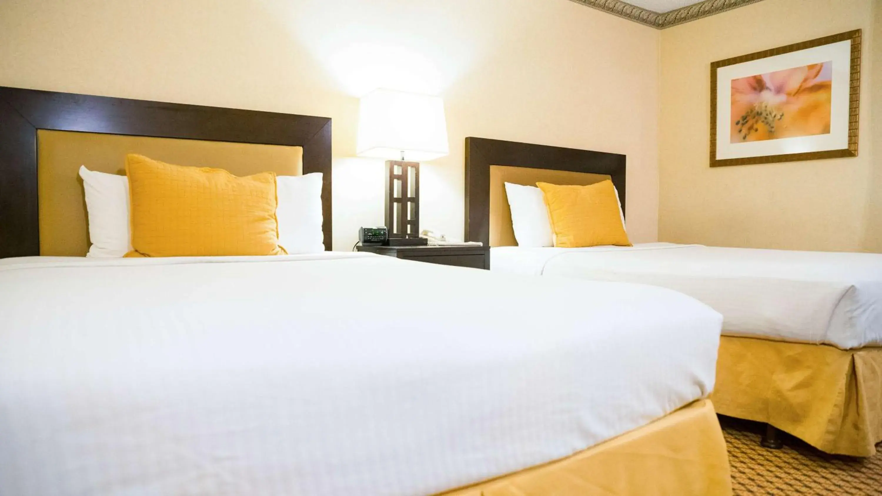 Bedroom, Bed in Motel 6 - Anaheim Hills, CA Bedroom, Bed in Motel 6 - Anaheim Hills, CA