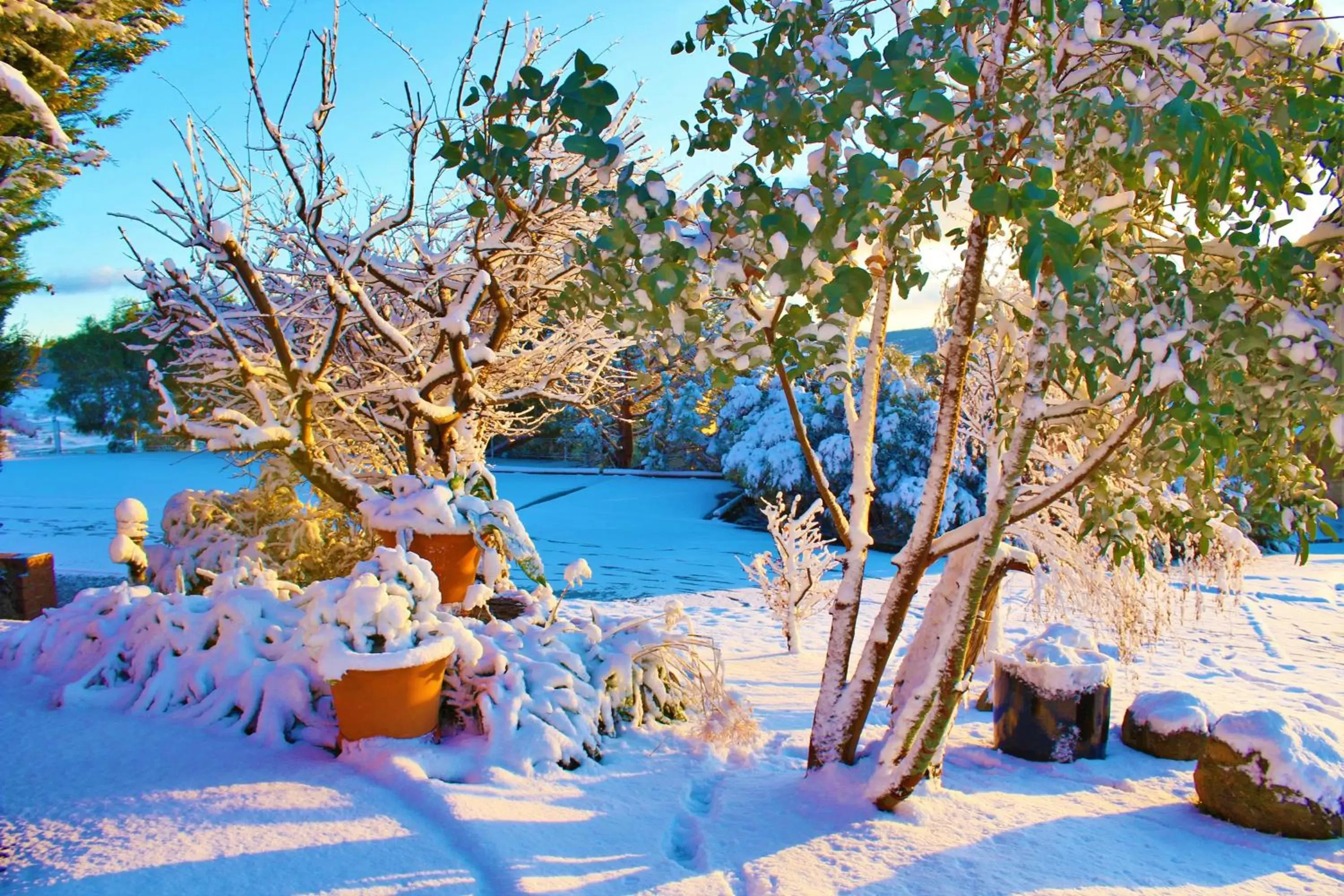 Day, Winter in Panorama Jindabyne
