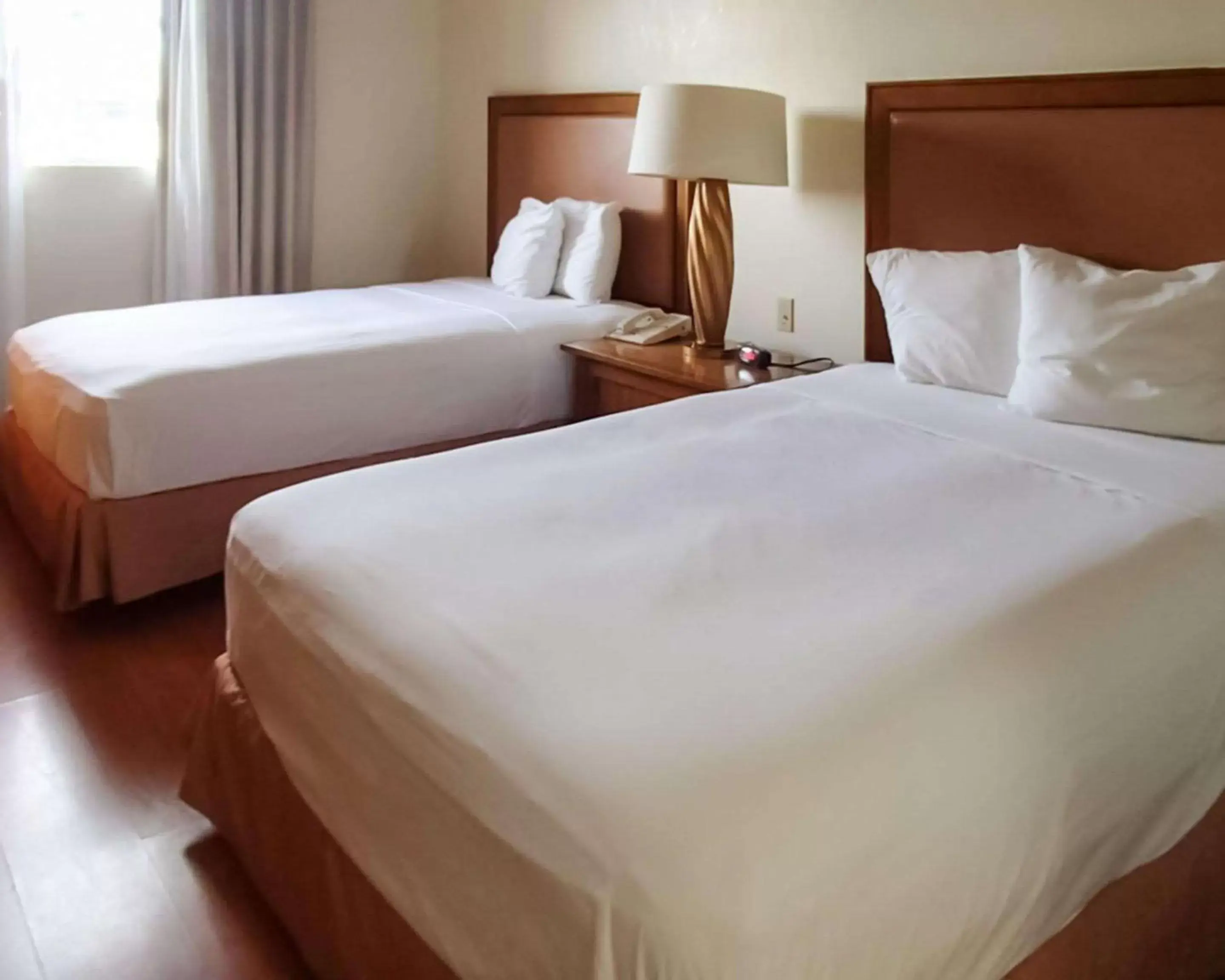 Photo of the whole room, Bed in Rodeway Inn South Miami - Coral Gables Photo of the whole room, Bed in Rodeway Inn South Miami - Coral Gables