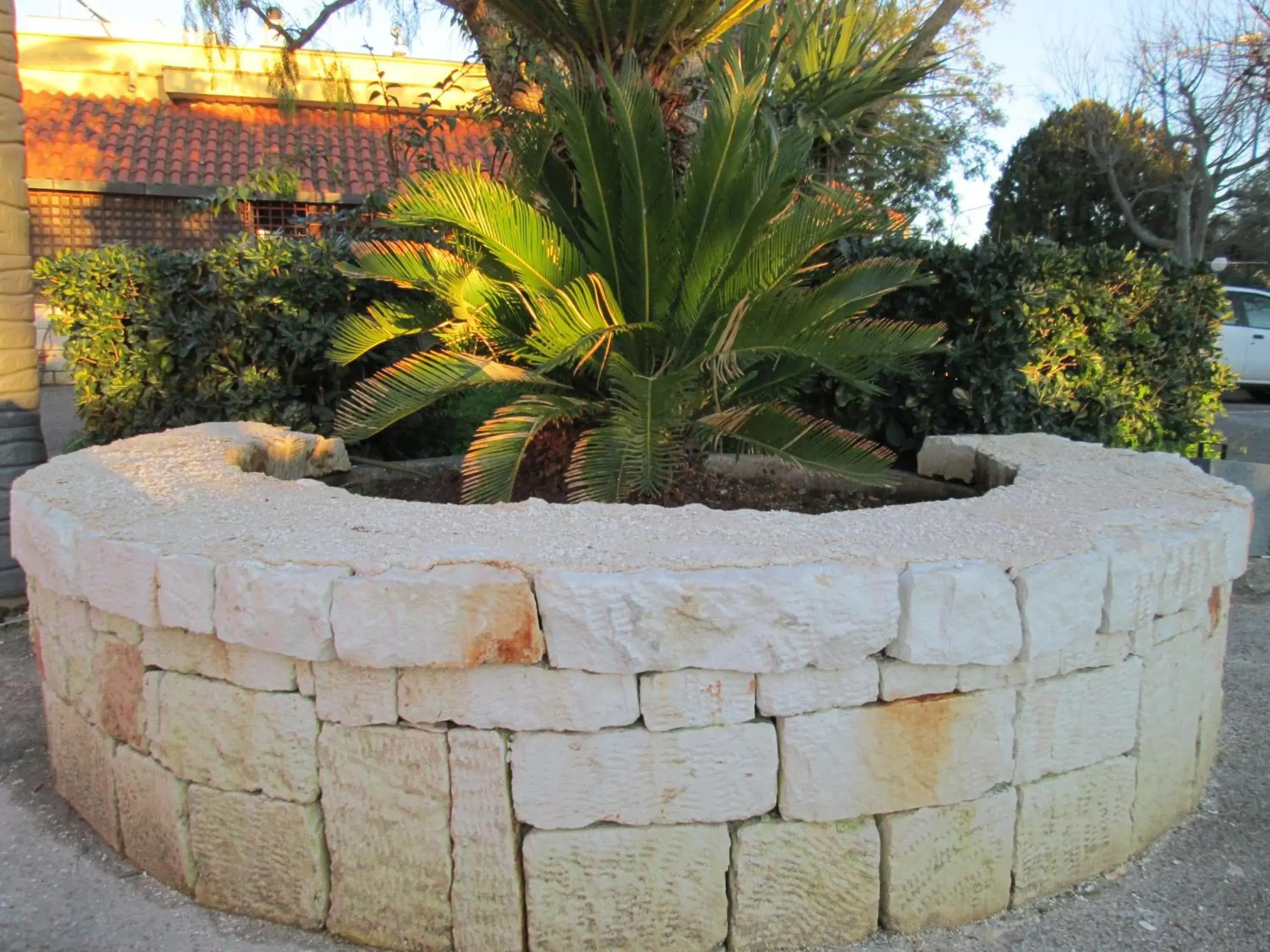 Garden in Hotel Tropical