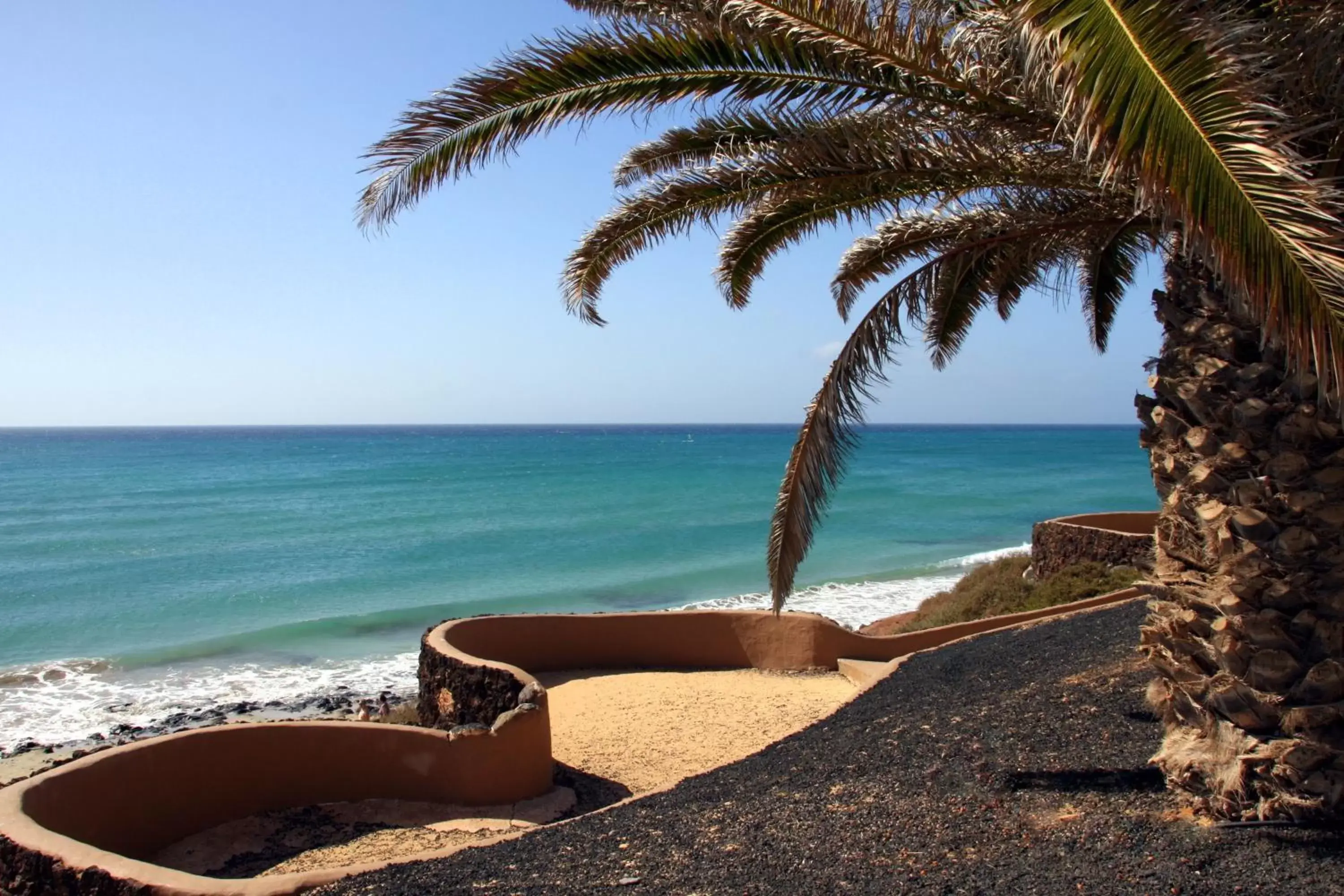 Garden, Beach in Sotavento Beach Club