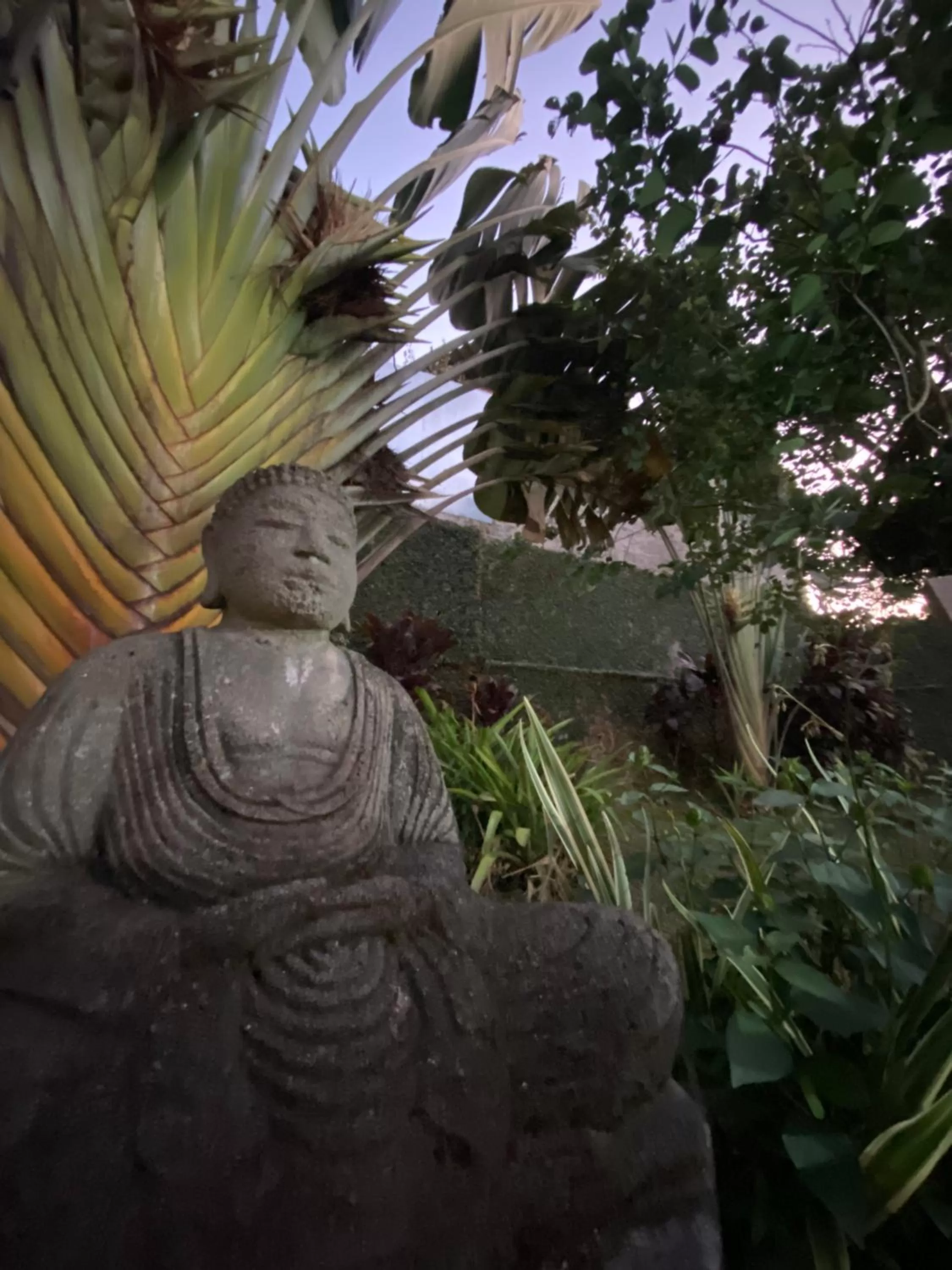 Garden view in Hotel La Ponsa Itatiaia
