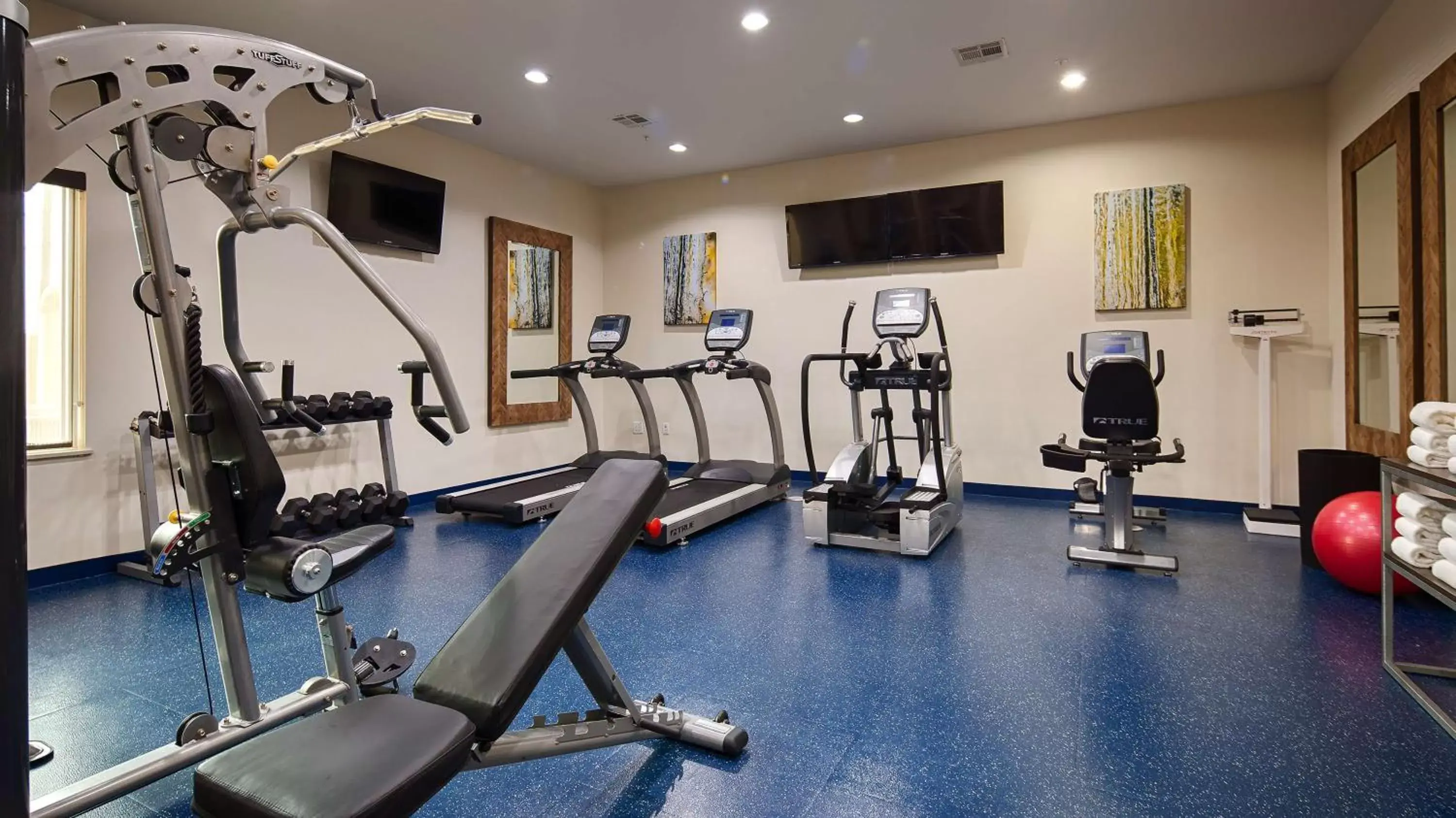 Activities, Fitness Center/Facilities in Best Western Premier Ashton Suites - Willowbrook
