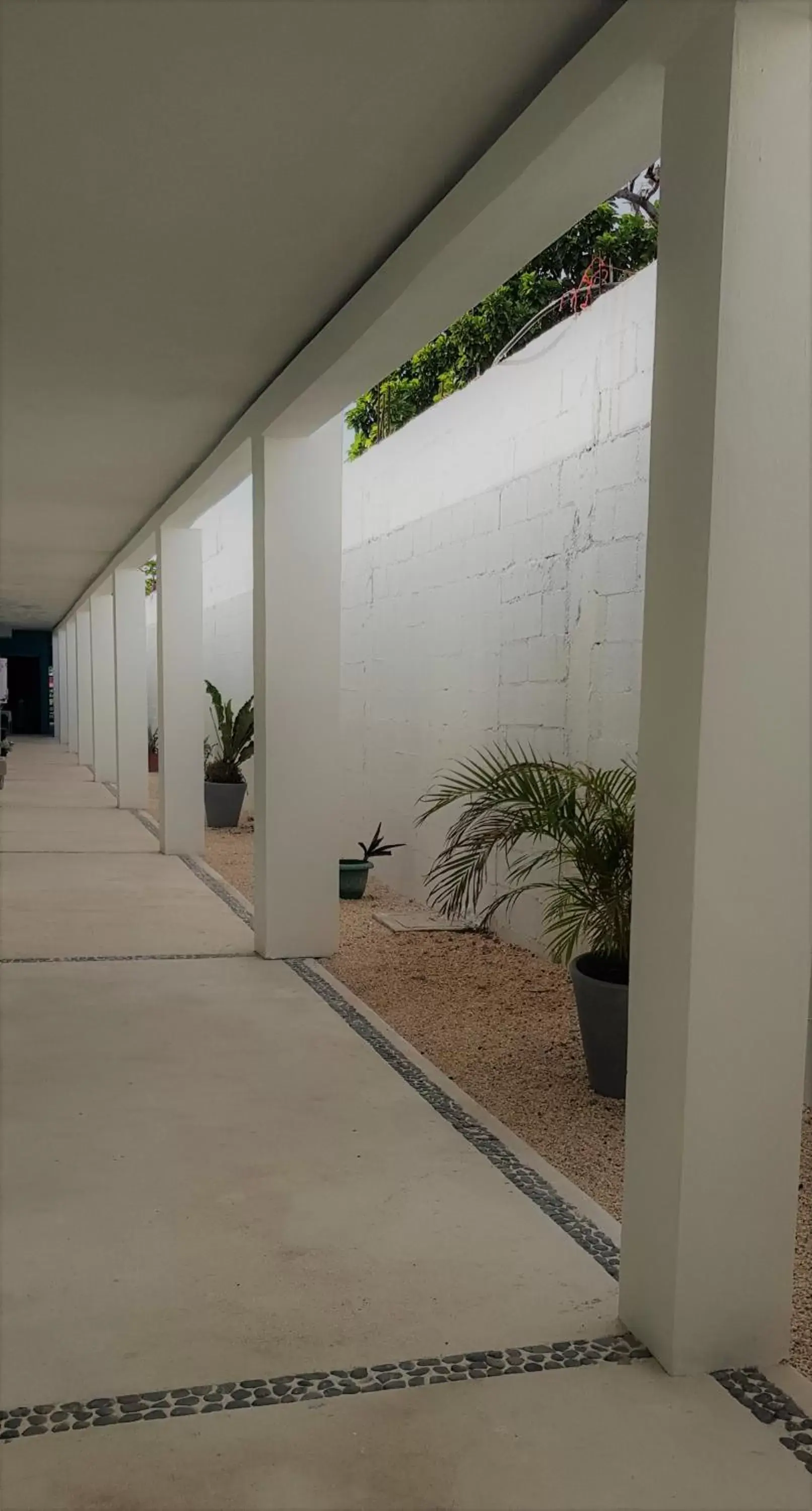 Patio in Hotel Paso del Mar