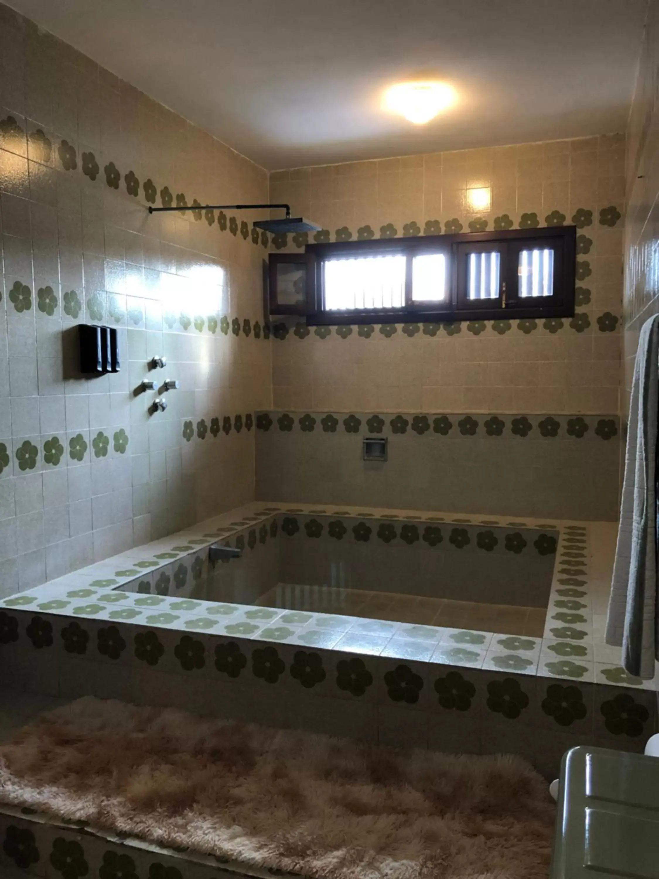 Shower, Swimming Pool in Villas Segovia Hotel Boutique & Suites