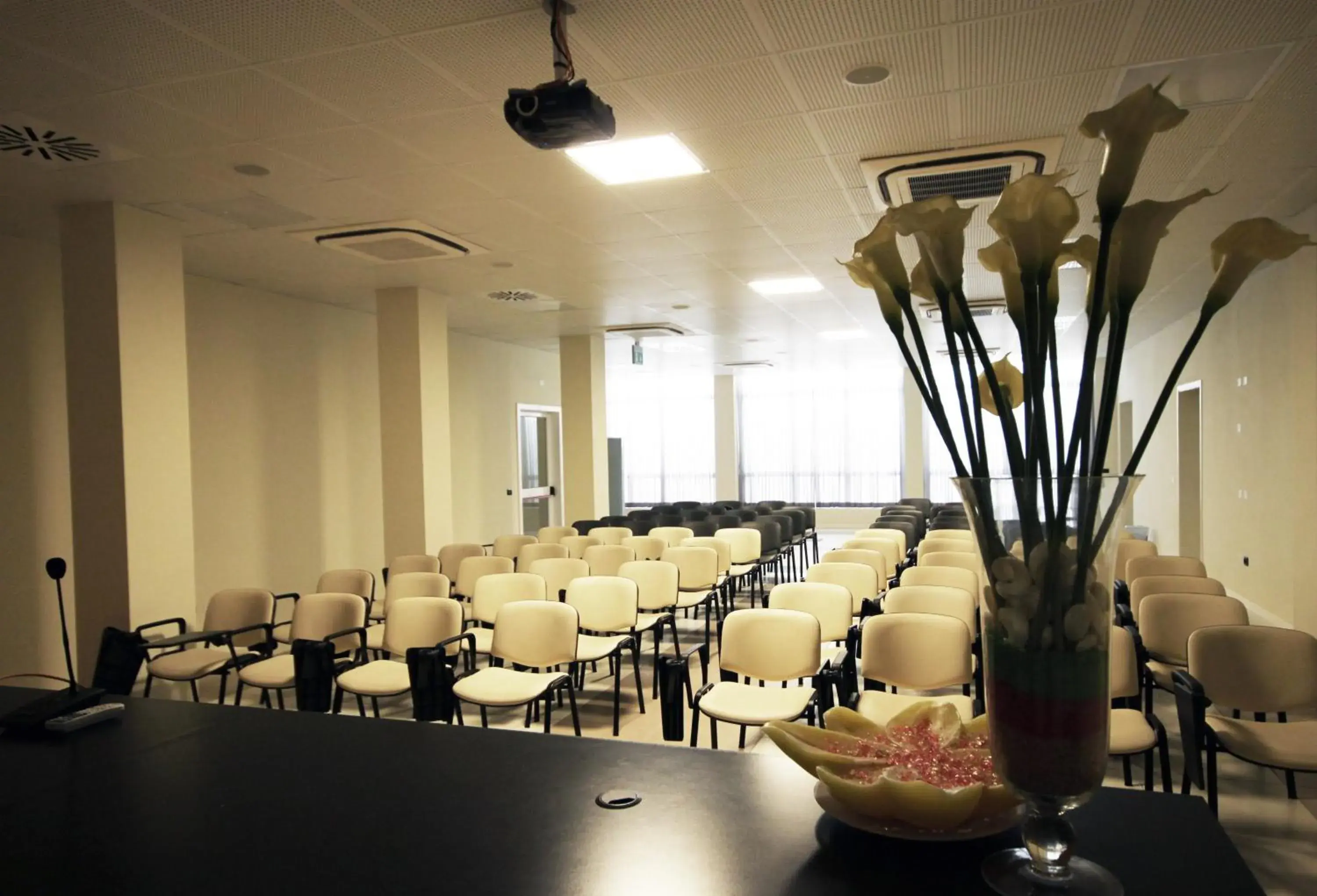 Business facilities in Executive Bergamo