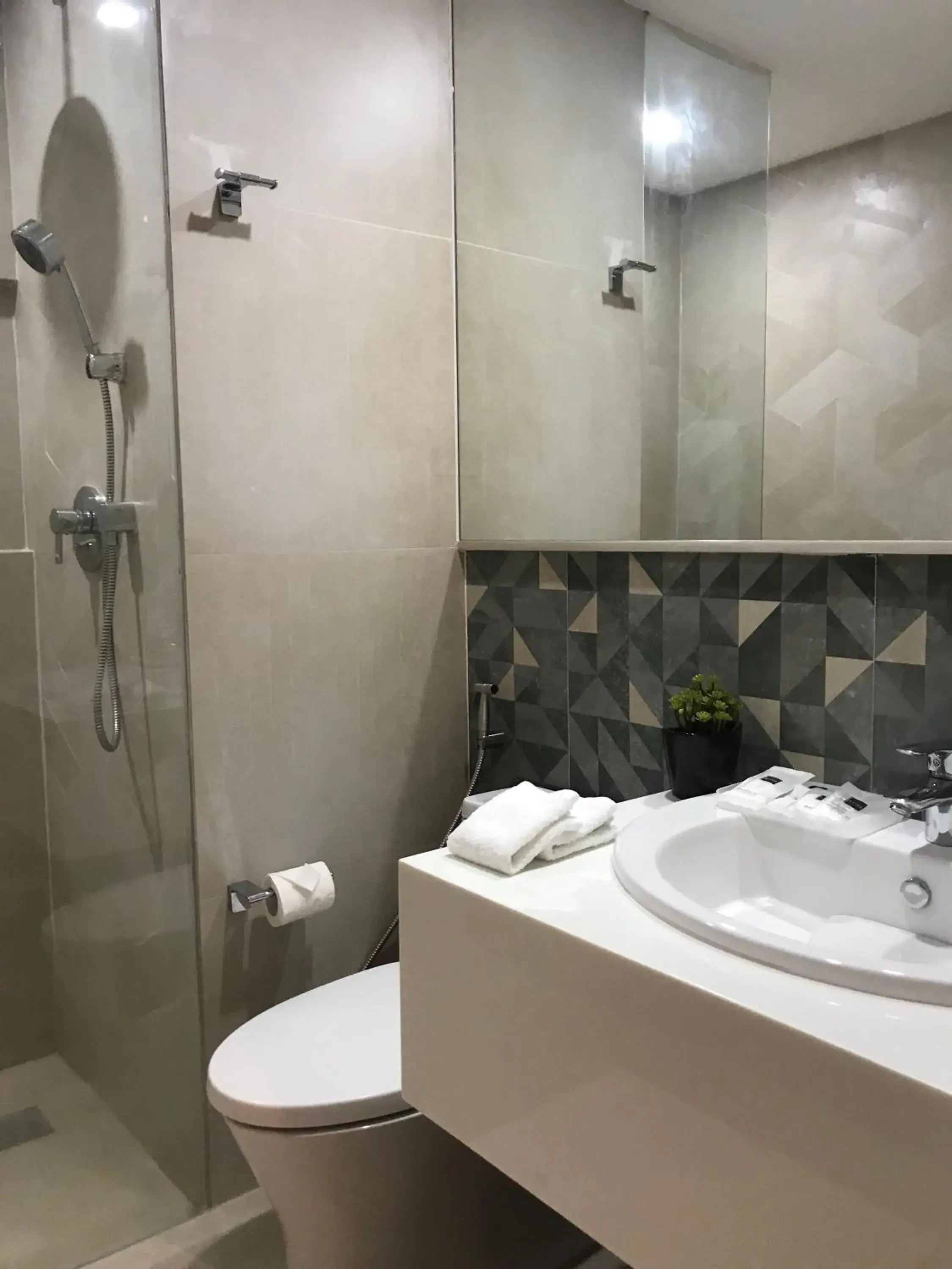 Shower, Bathroom in Avior Hotel