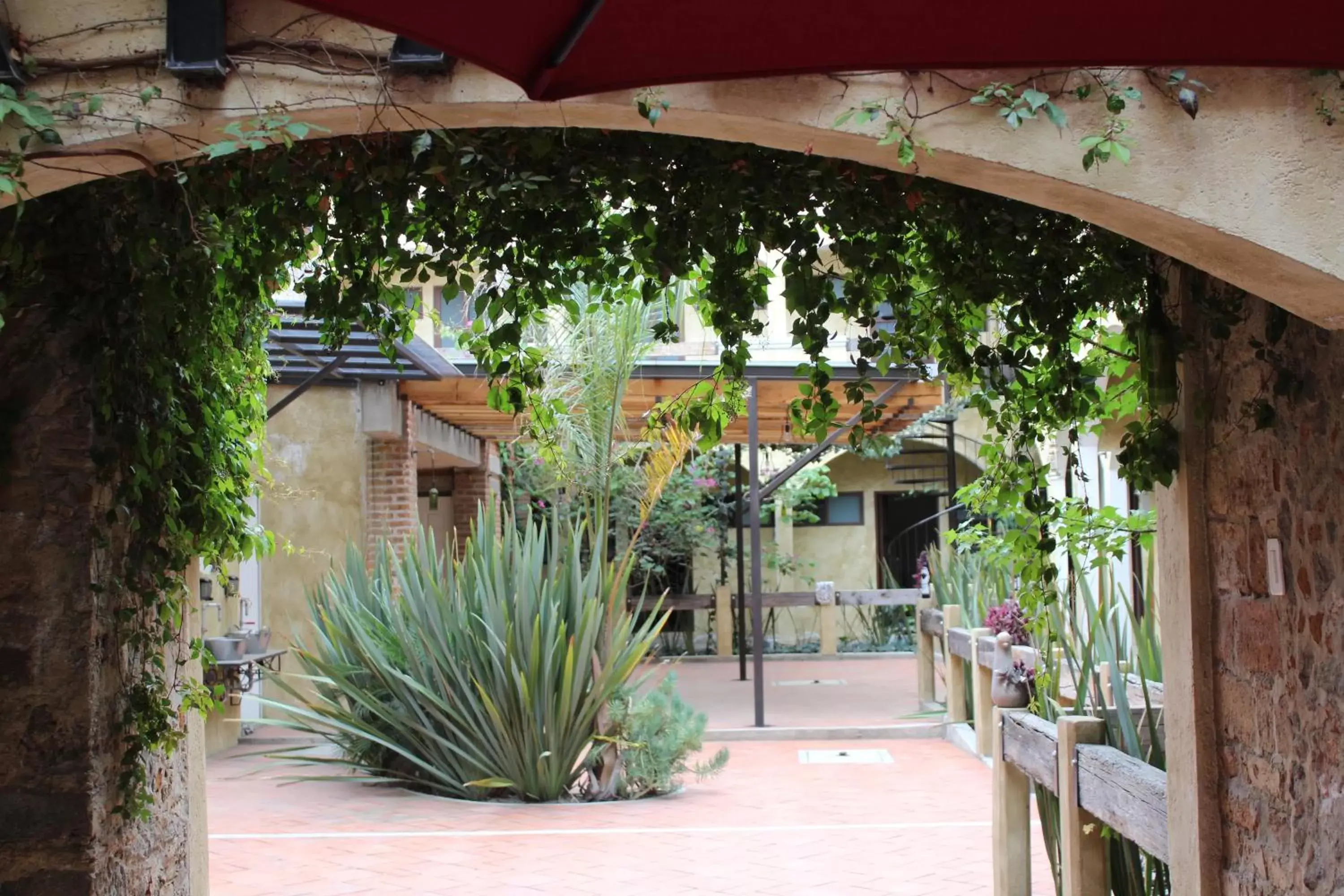 Patio in Hotel el Descanso Barrio del Artista