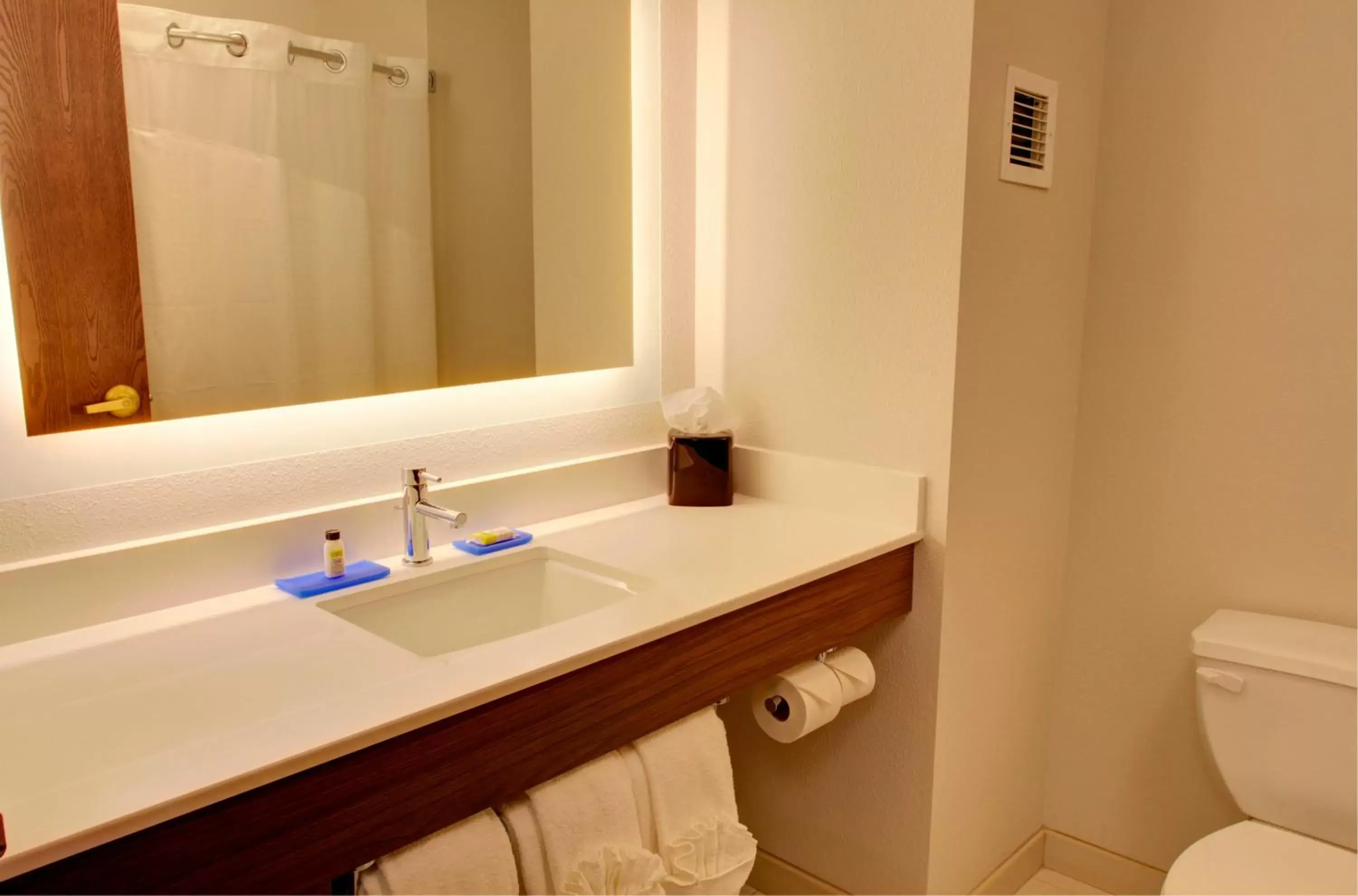 Bathroom in Holiday Inn Express & Suites Le Mars, an IHG Hotel