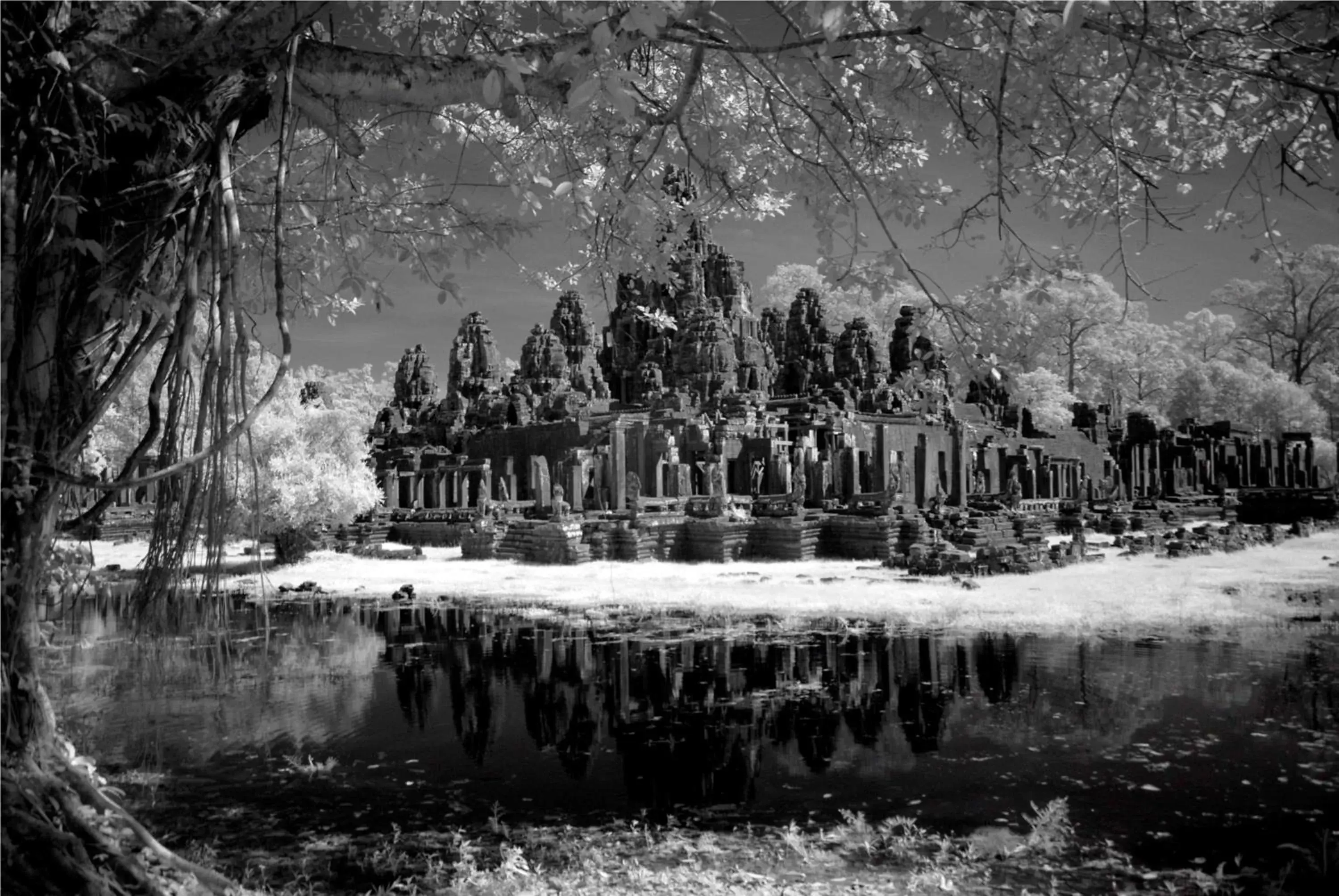 Off site, Winter in Park Hyatt Siem Reap