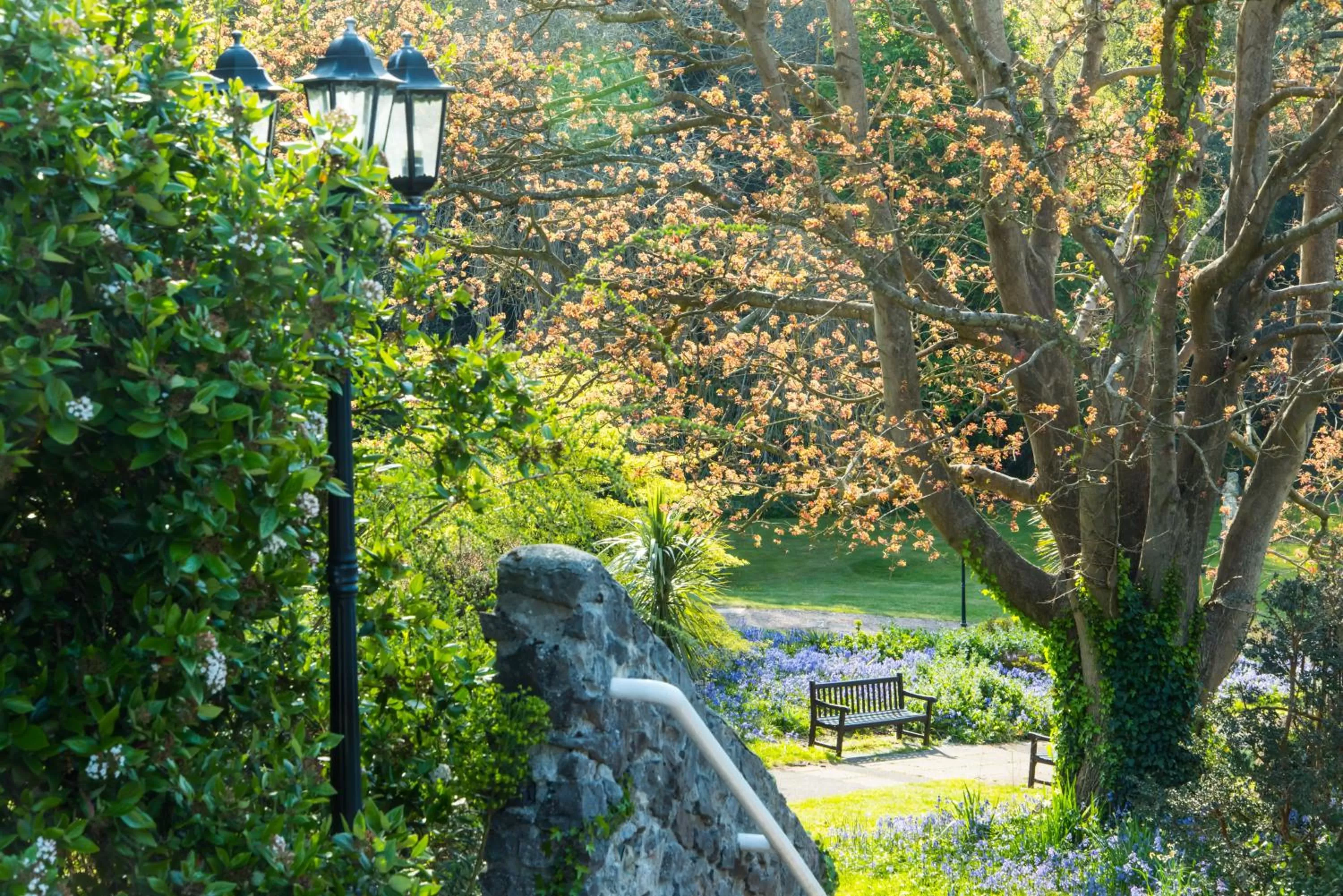 Area and facilities in Cliffden Hotel