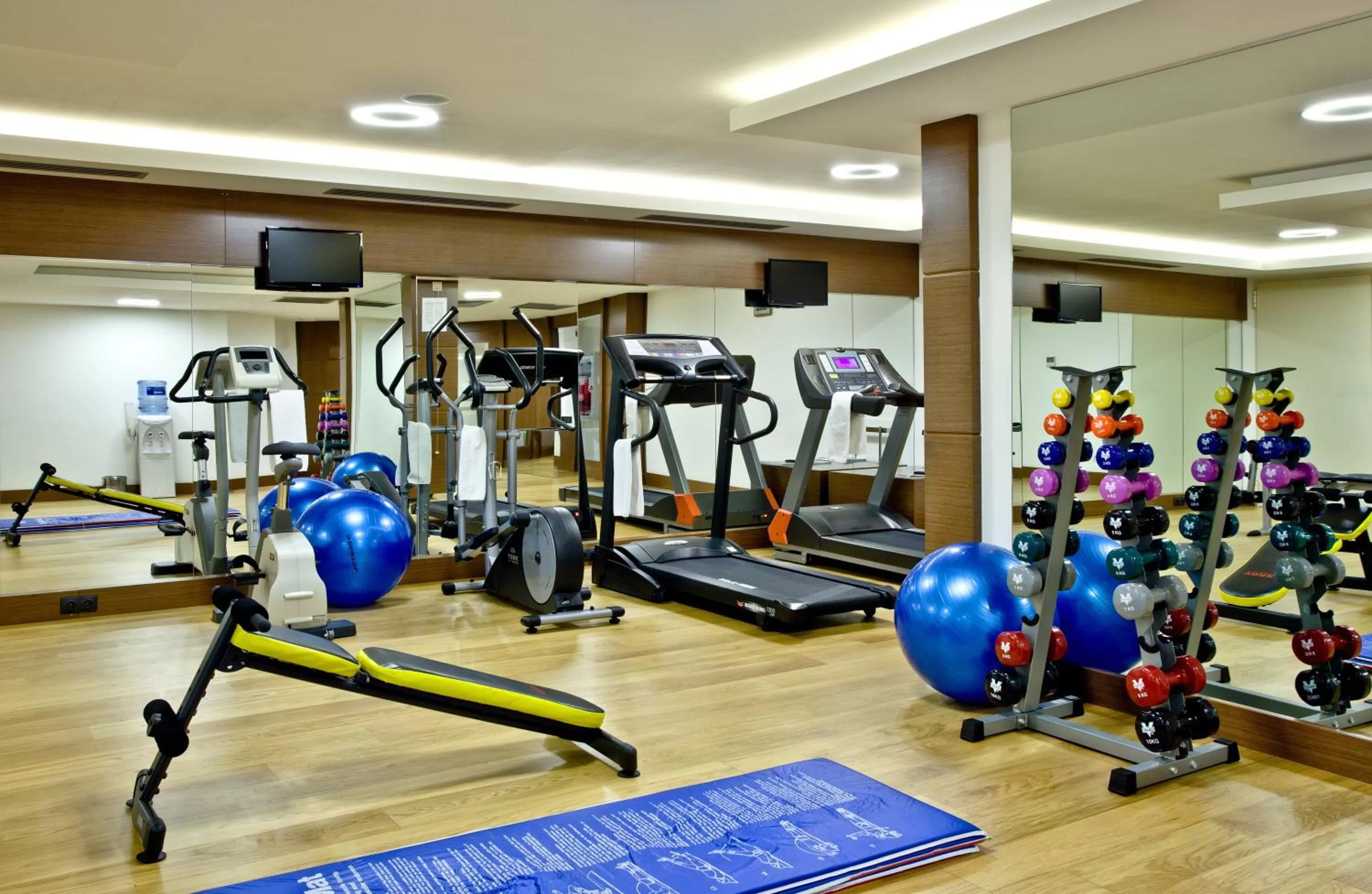 Fitness centre/facilities in Holiday Inn Ankara-Kavaklidere by IHG