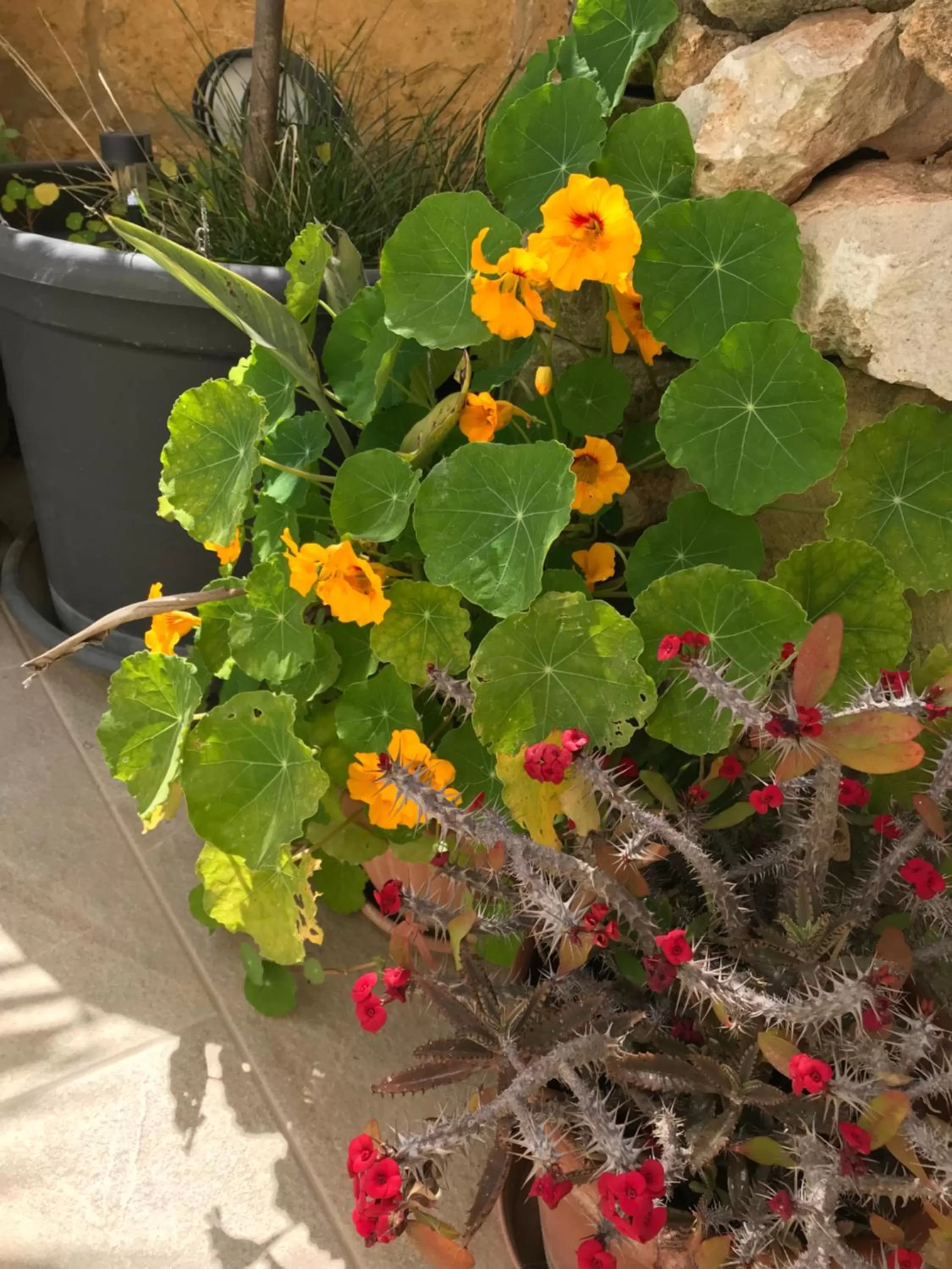 The Cloisters Bed And Breakfast