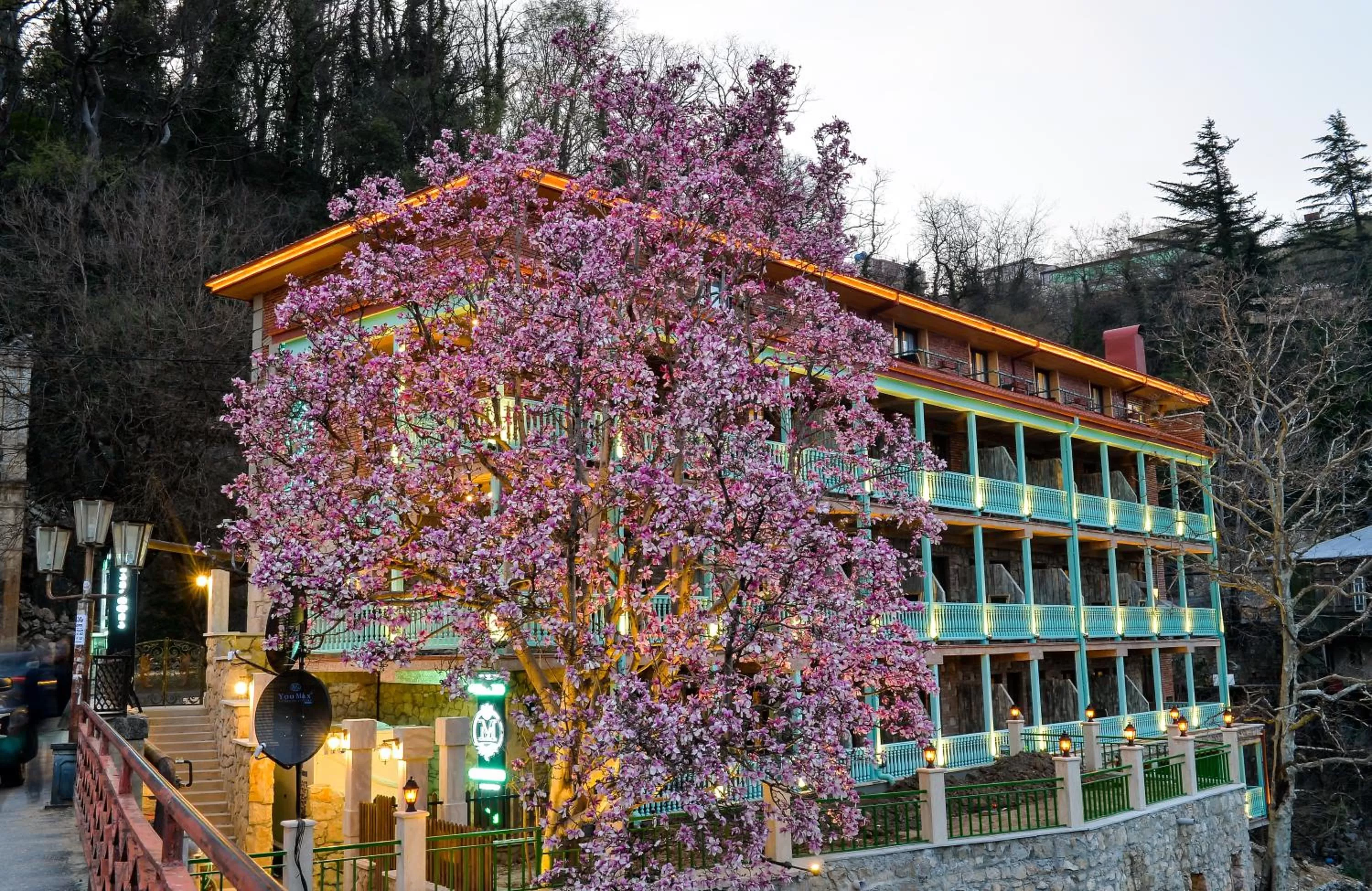 Hotel Magnolia Paradiso