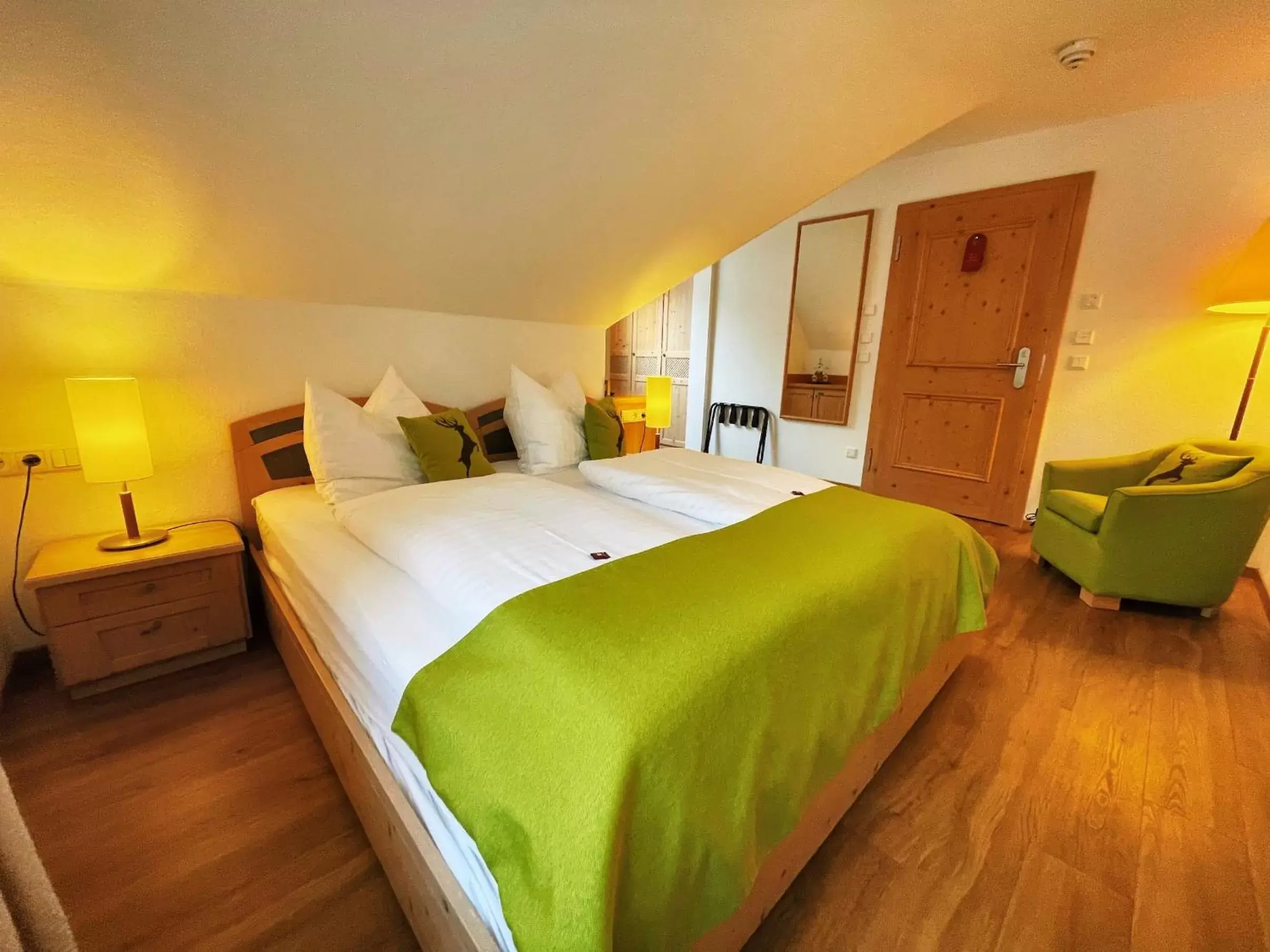 Double Room with Private Bathroom - single occupancy in Albhotel Malakoff - House of Nature Double Room with Private Bathroom - single occupancy in Albhotel Malakoff - House of Nature