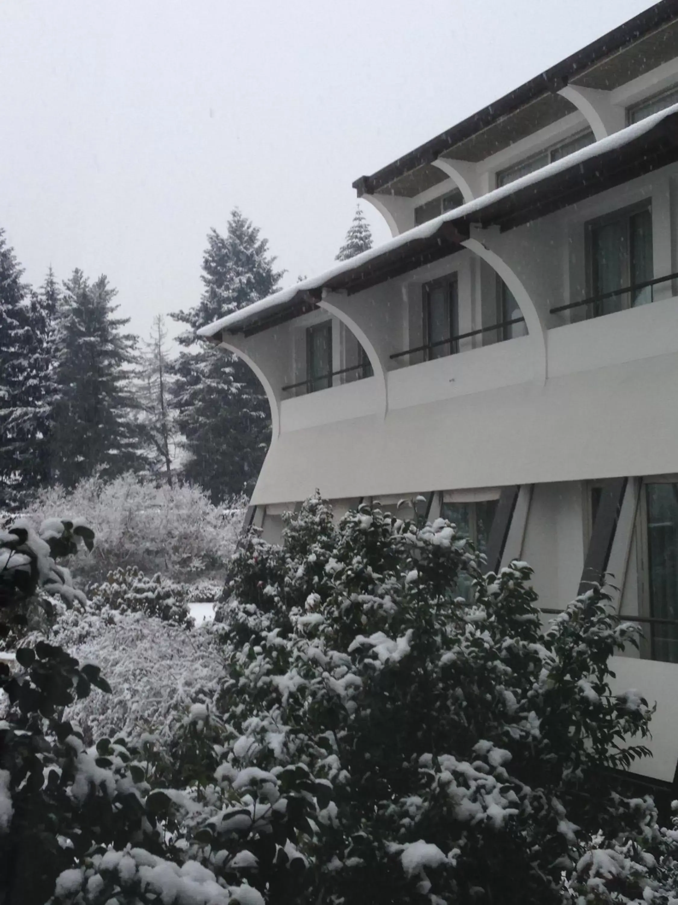 Garden, Property Building in Cardano Hotel Malpensa