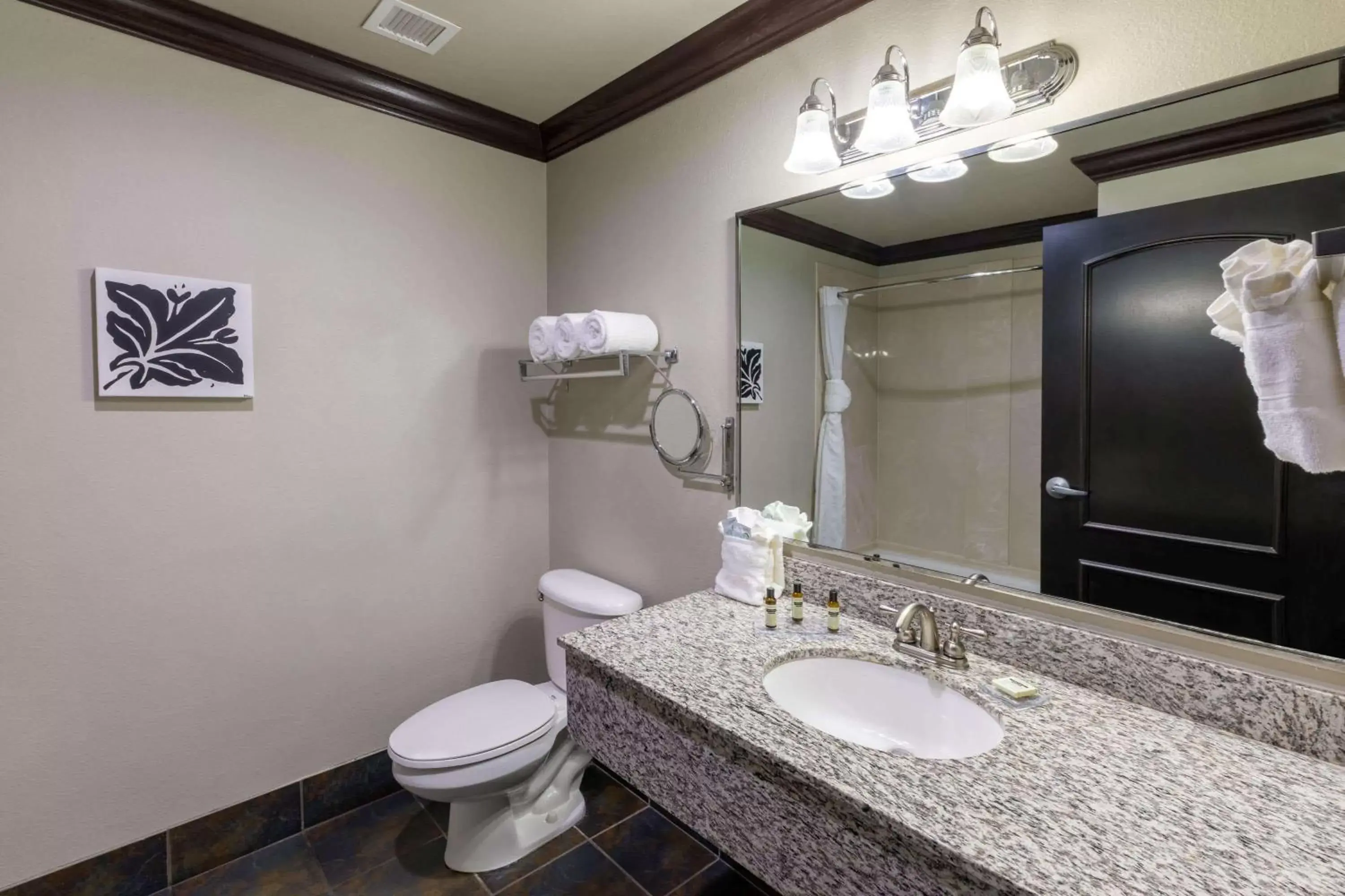 Bathroom in Hawthorn Suites by Wyndham Lubbock