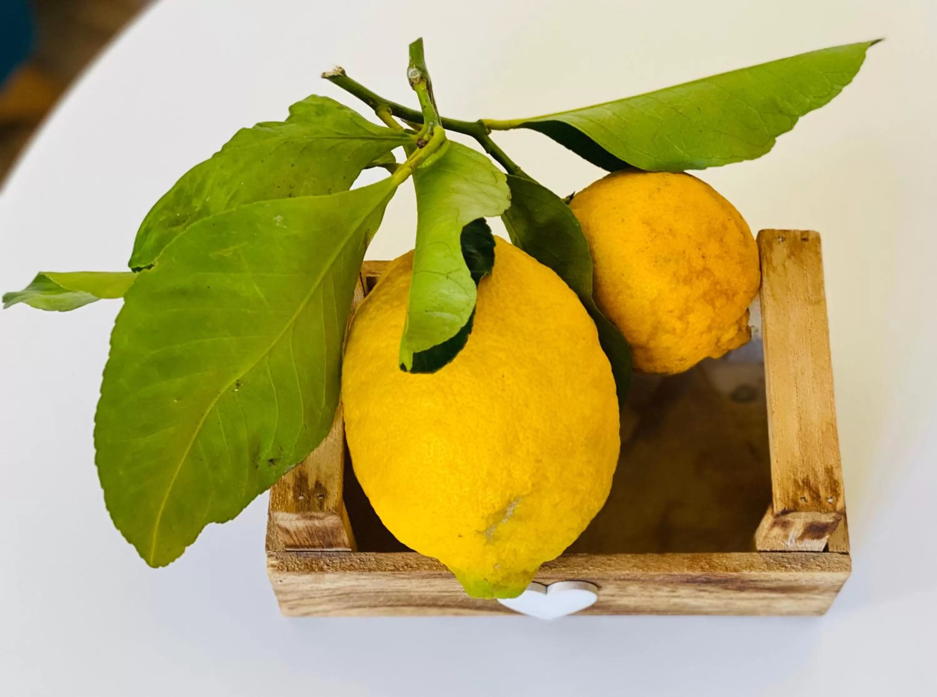 Food and drinks in Il Chiostro