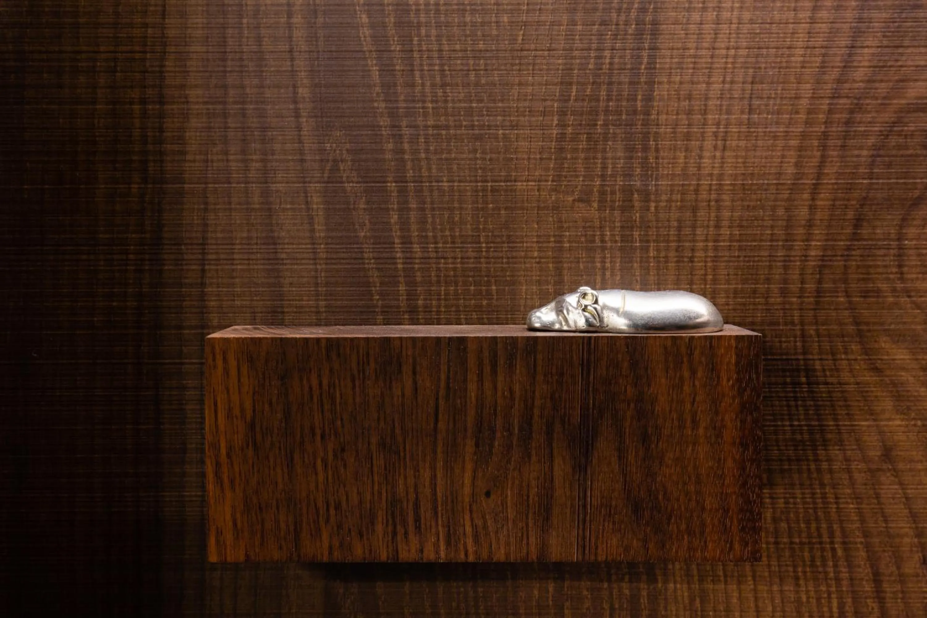 The Royal Park Canvas - Ginza 8