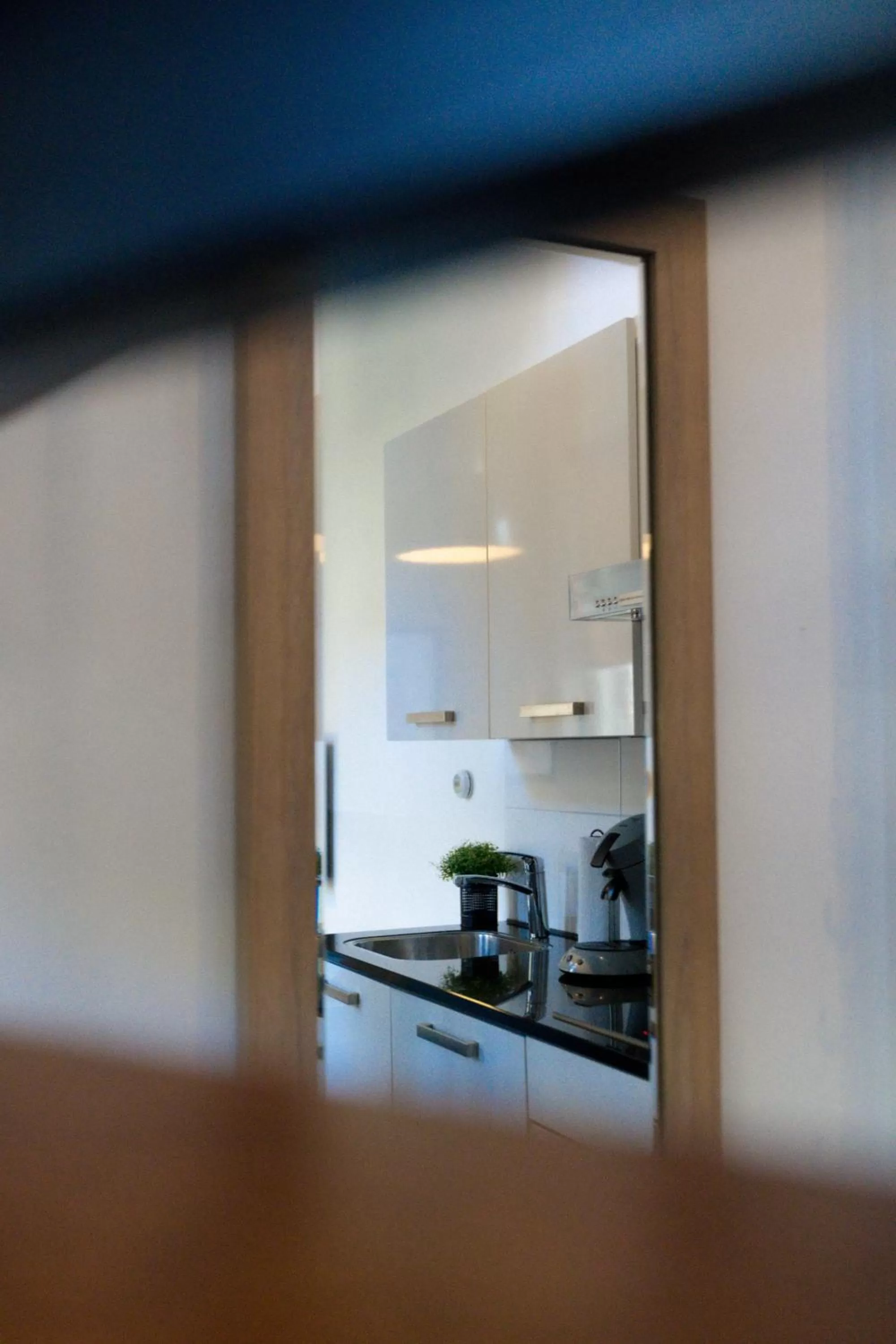 kitchen in Plantage Garden Apartments