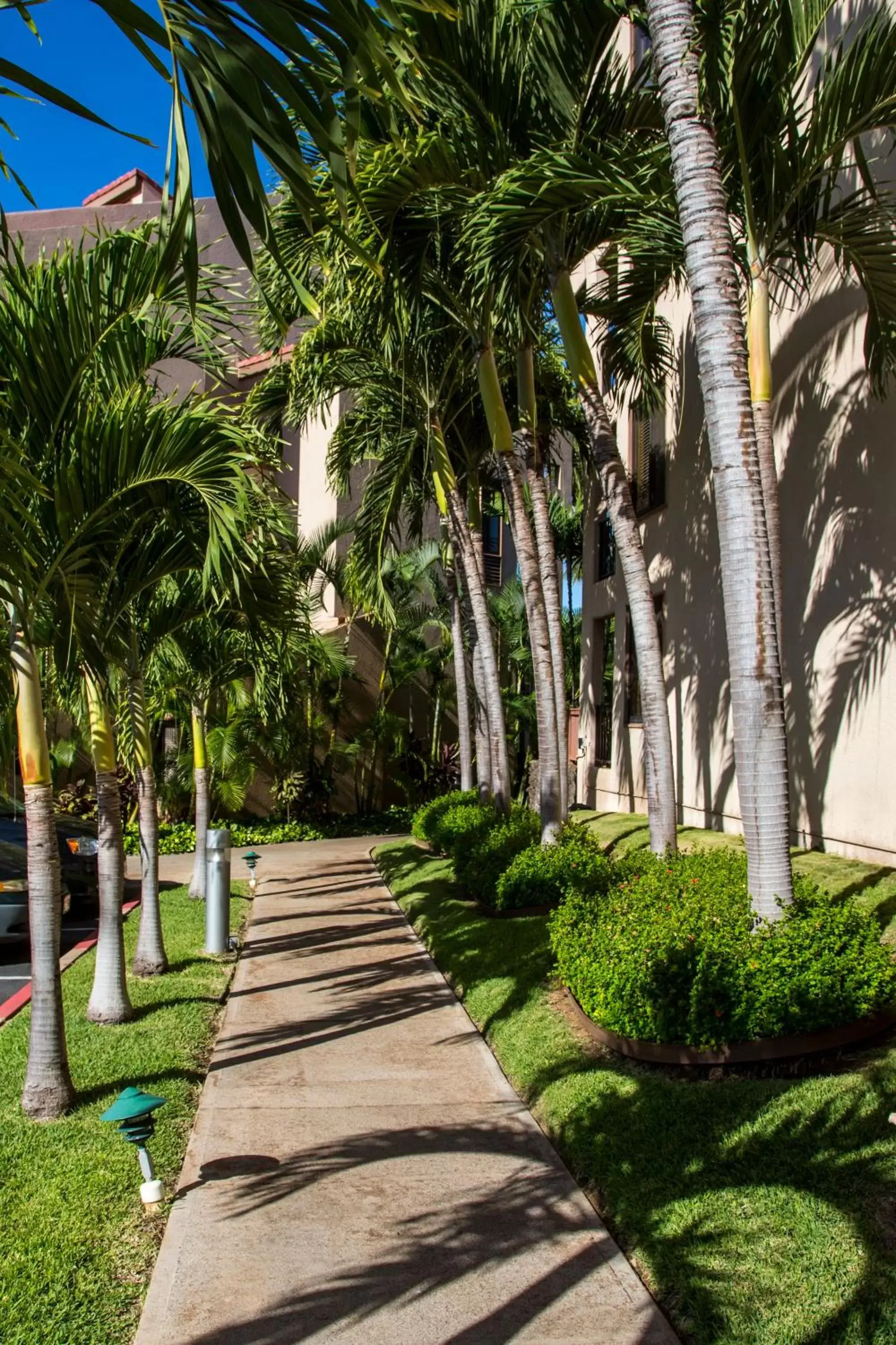 Garden in Castle Kamaole Sands