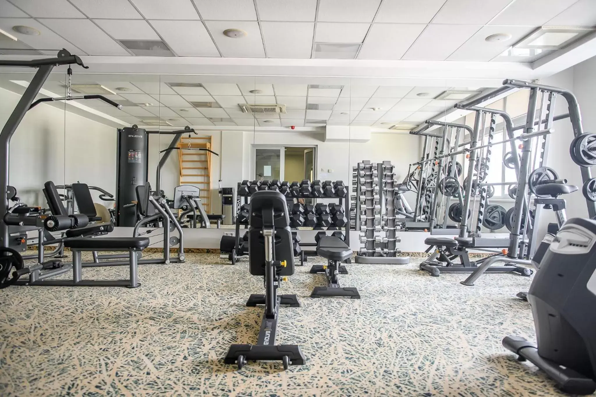 Fitness centre/facilities, Fitness Center/Facilities in Mercure Marijampole