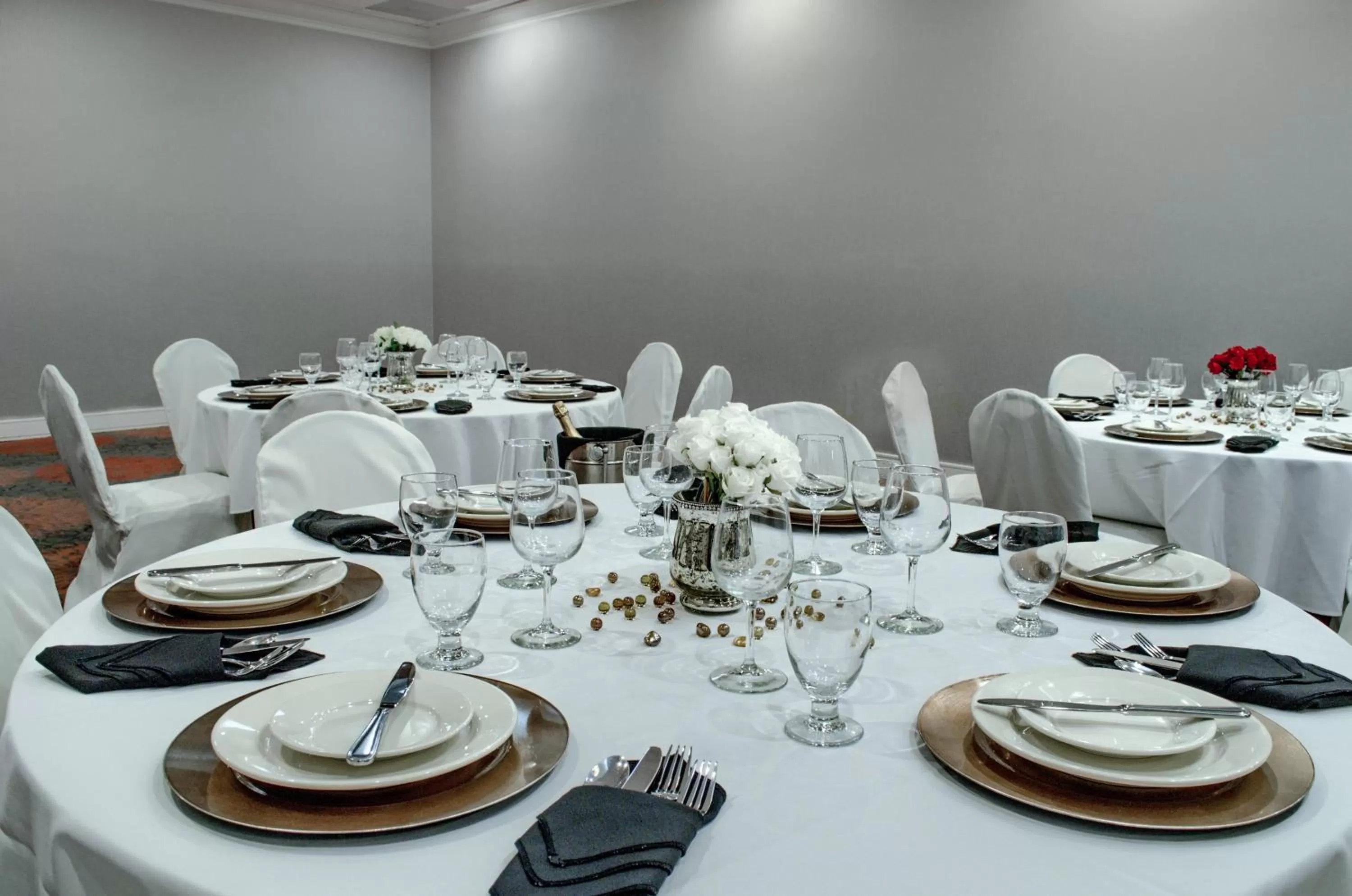 Banquet/Function facilities in Holiday Inn Mobile West I-10 by IHG