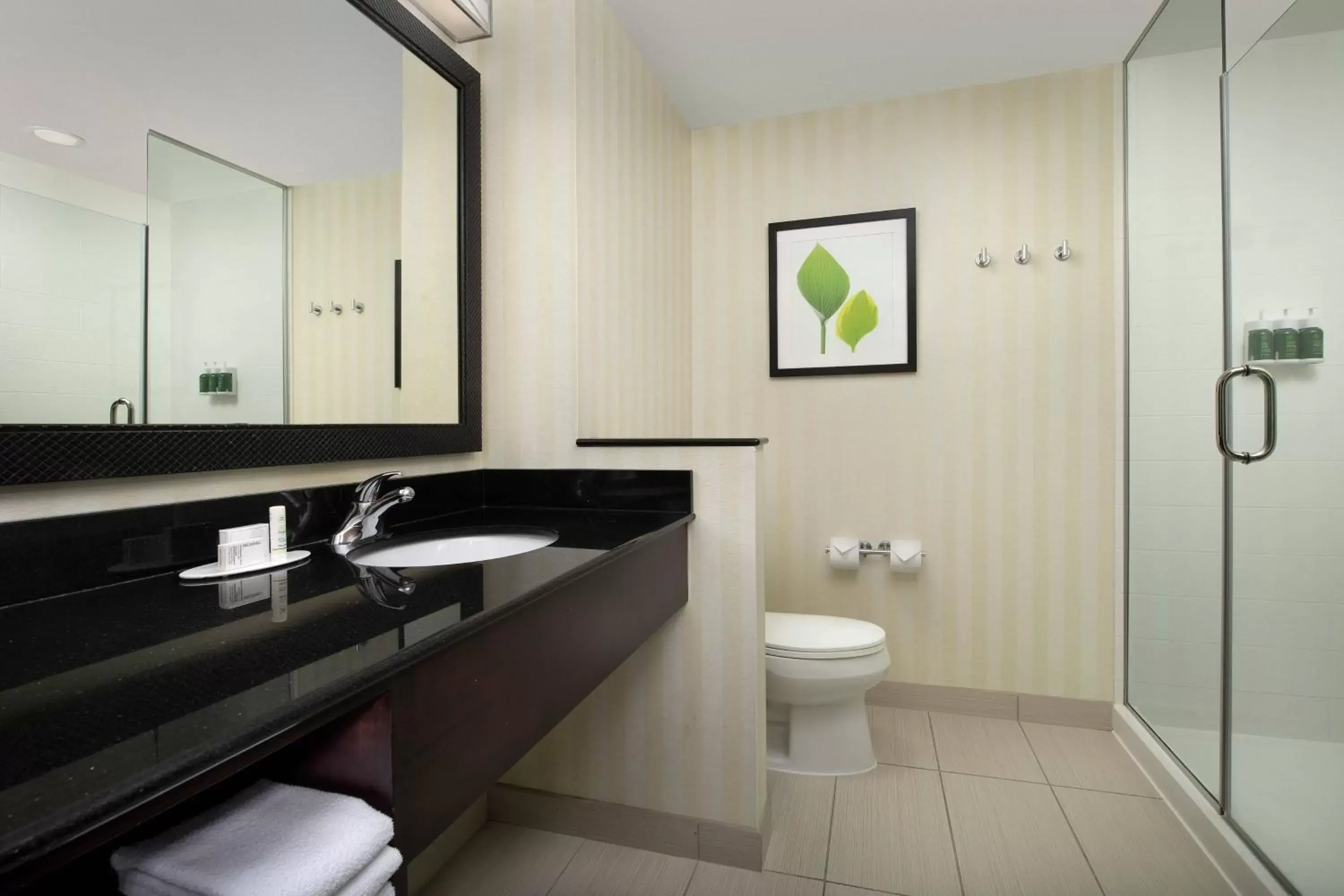 Bathroom in Fairfield Inn & Suites Baltimore BWI Airport