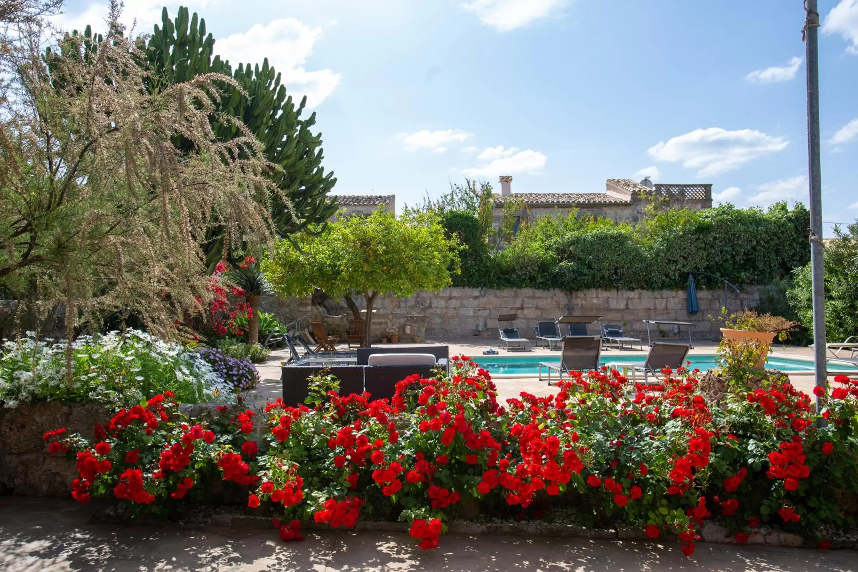 Swimming Pool in Sa Barcella