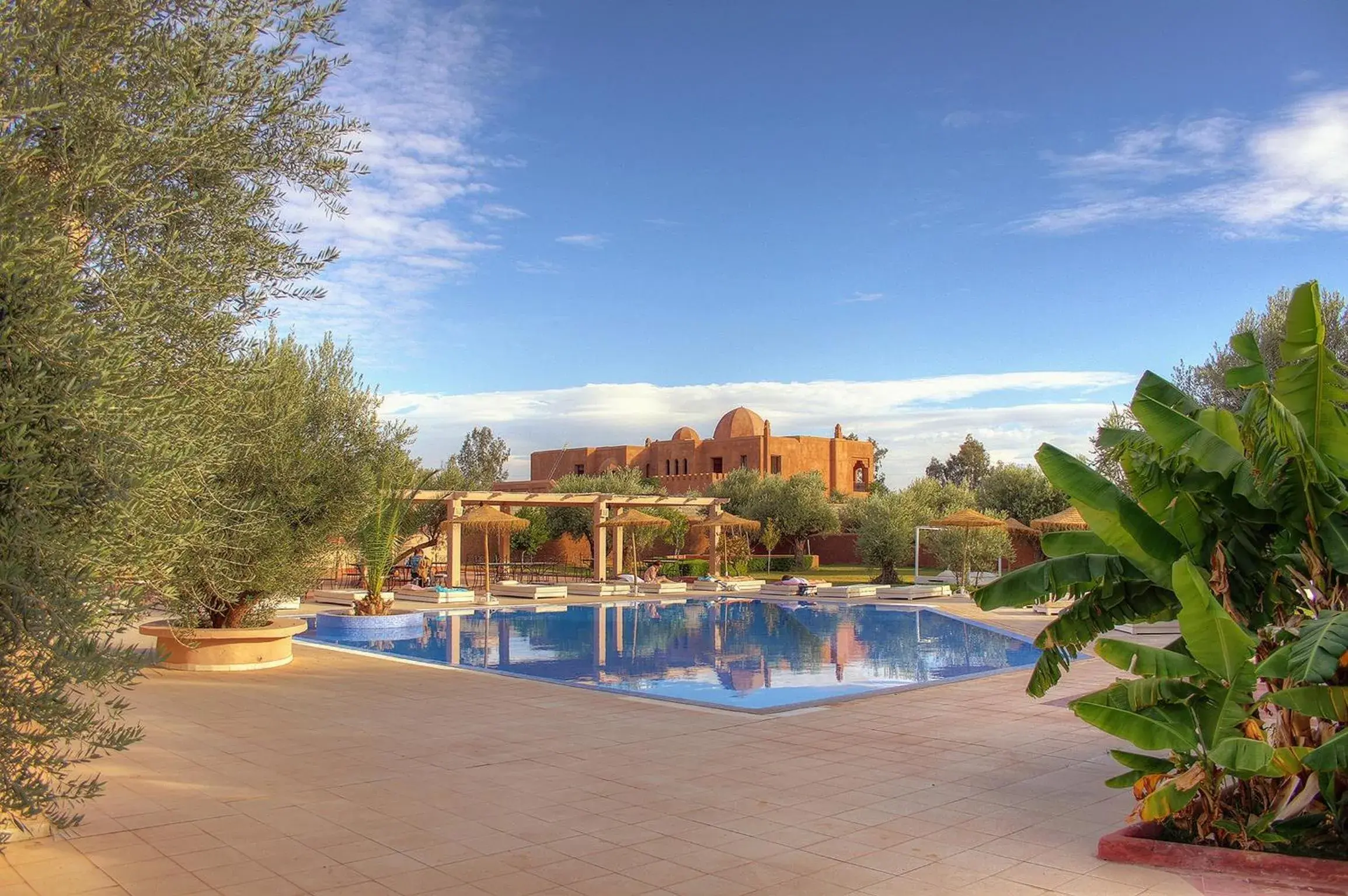 Swimming Pool in La Maison Des Oliviers