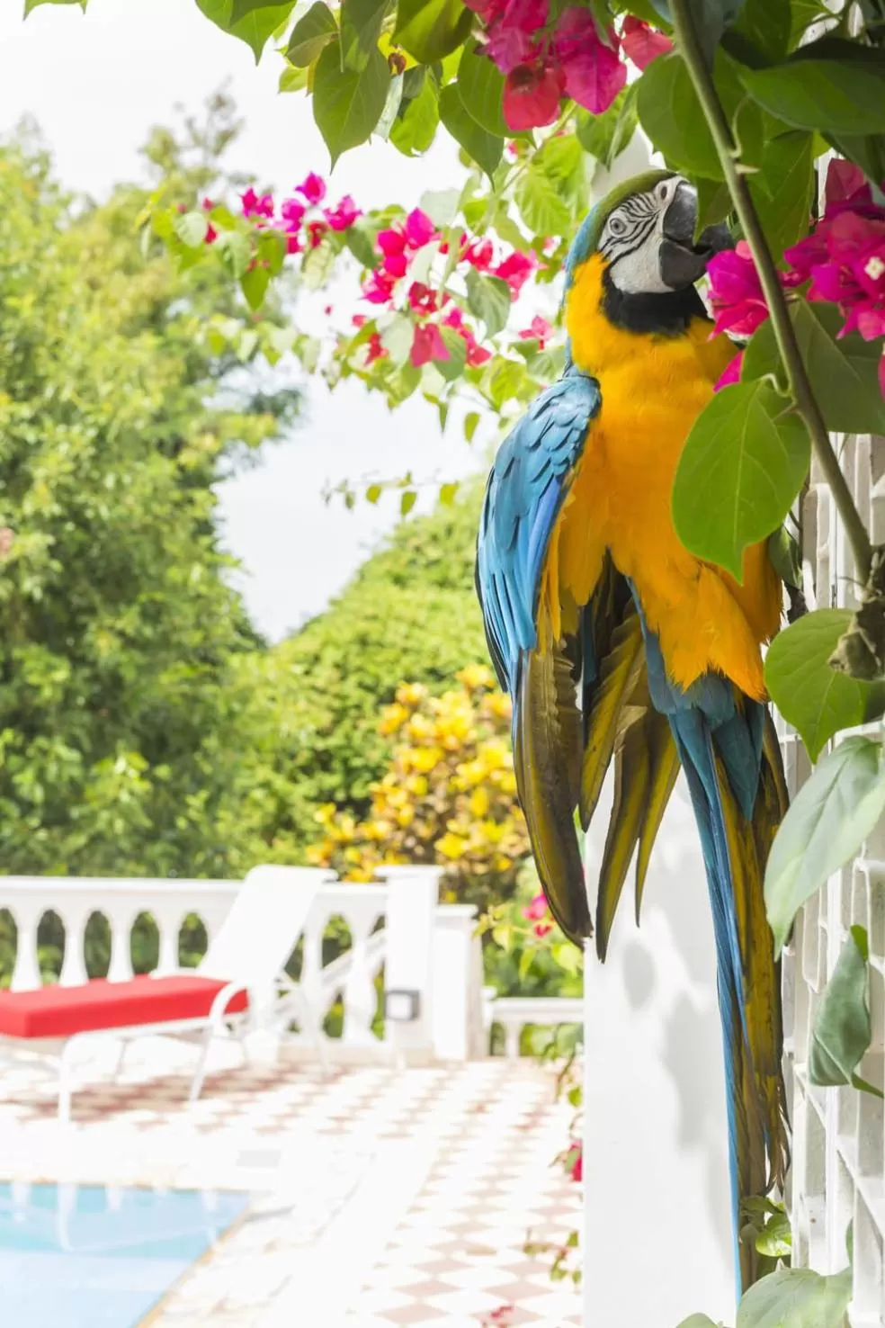 Day in Prestige Property - Da Costa