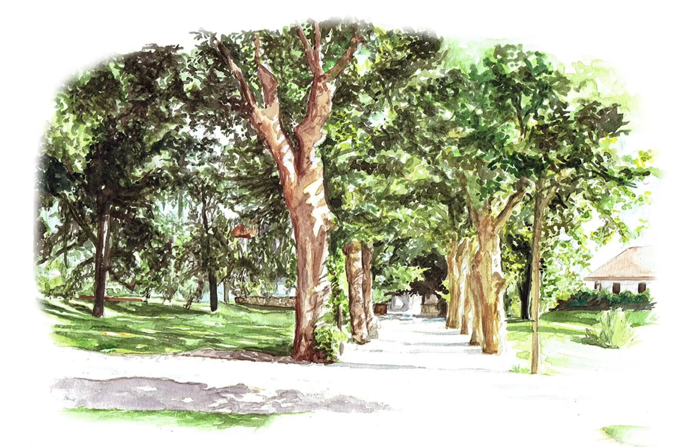 Garden in Château Brachet