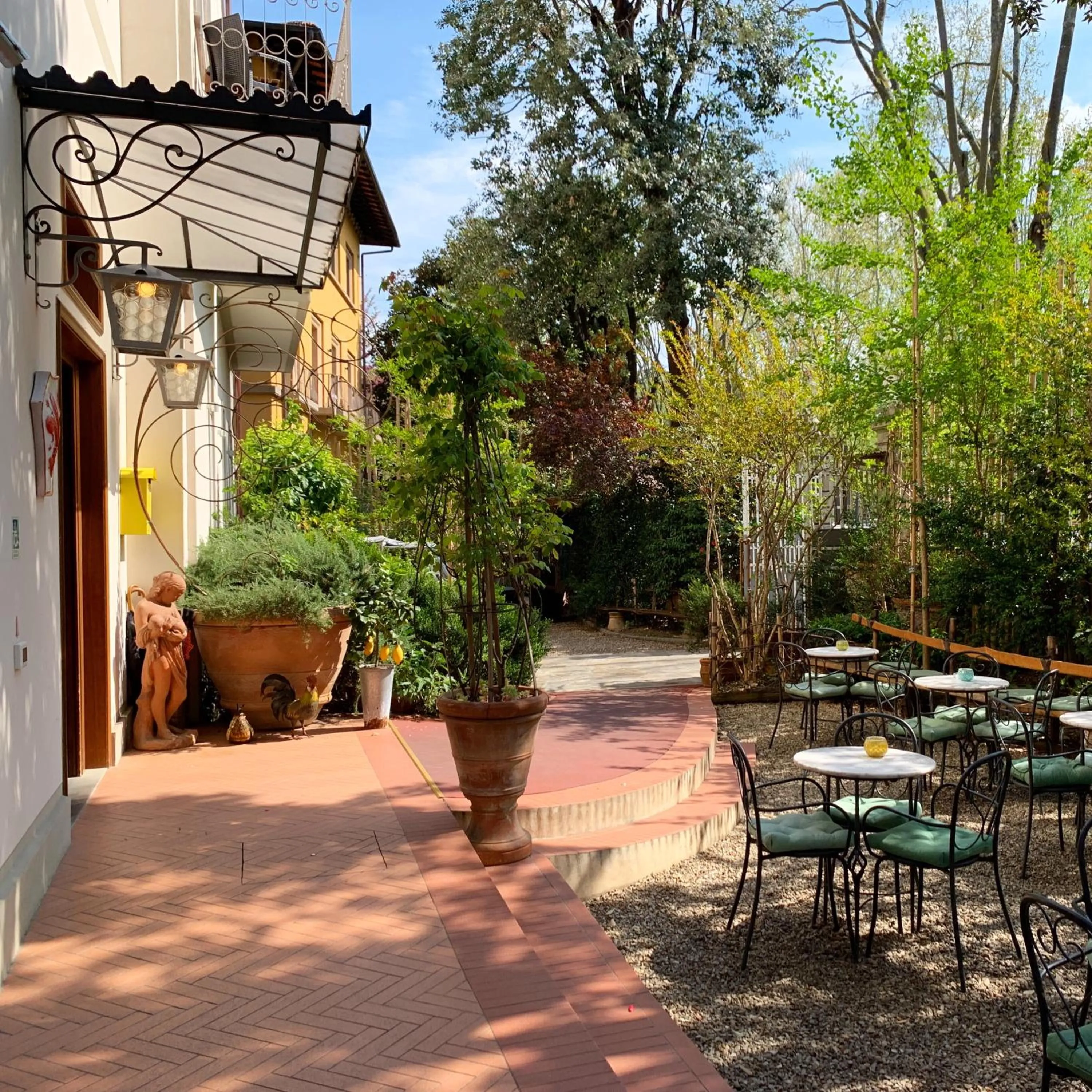 Garden in Hotel David