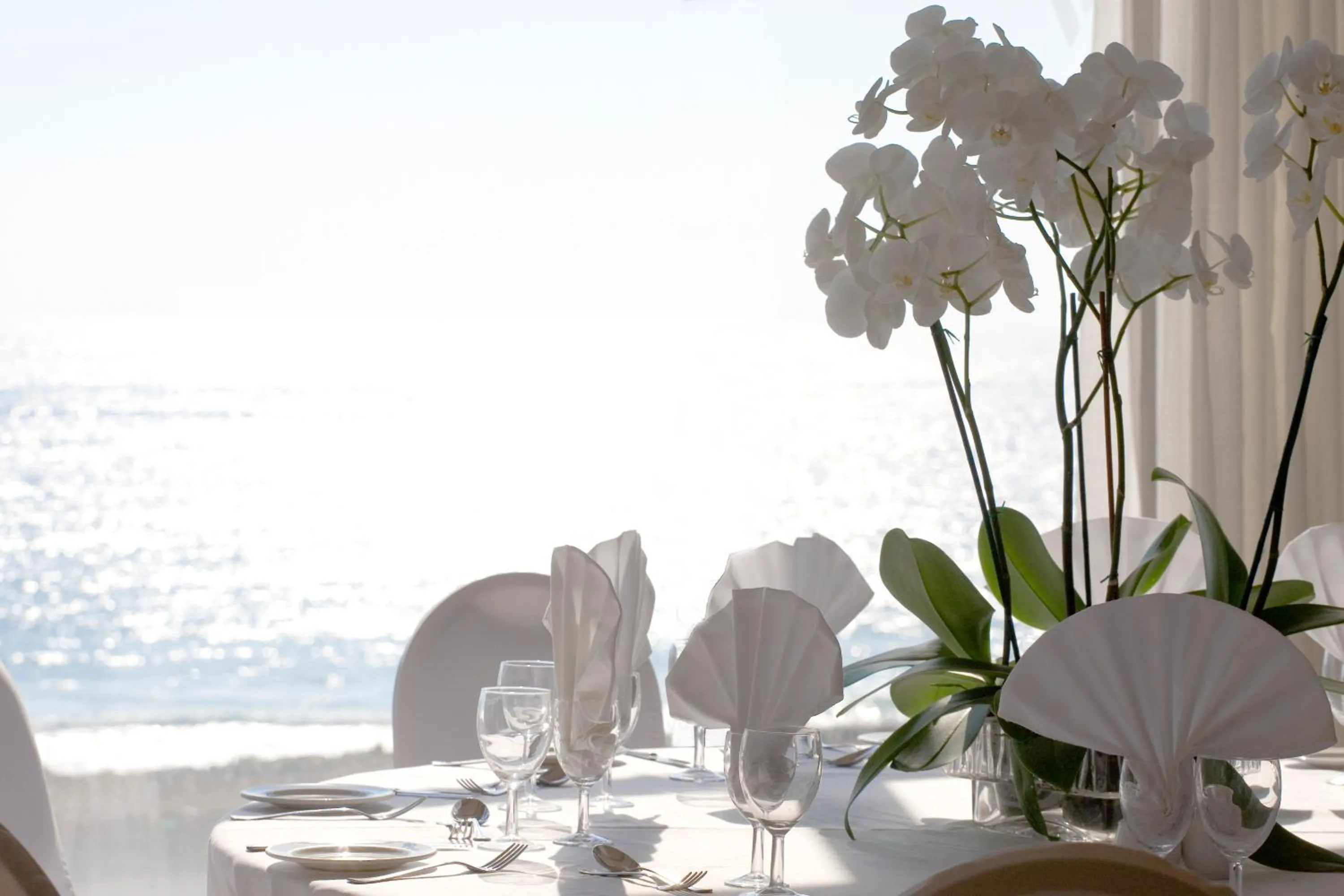 View (from property/room) in Venus Beach Hotel