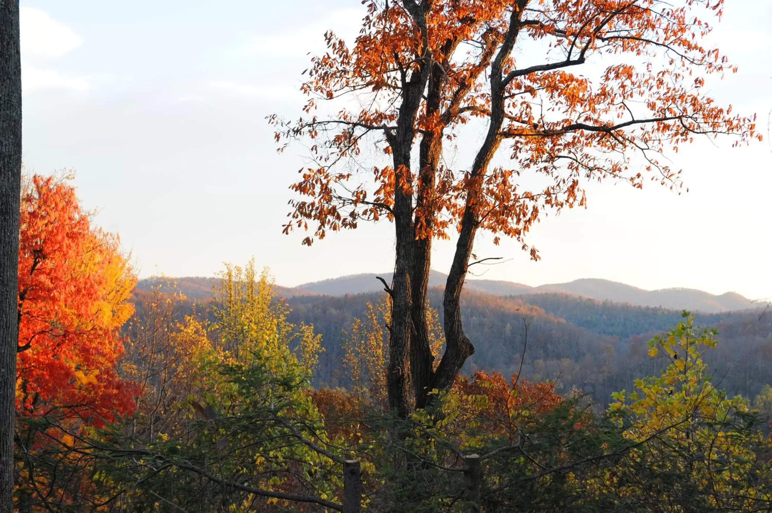 Natural Landscape in Orchard Inn