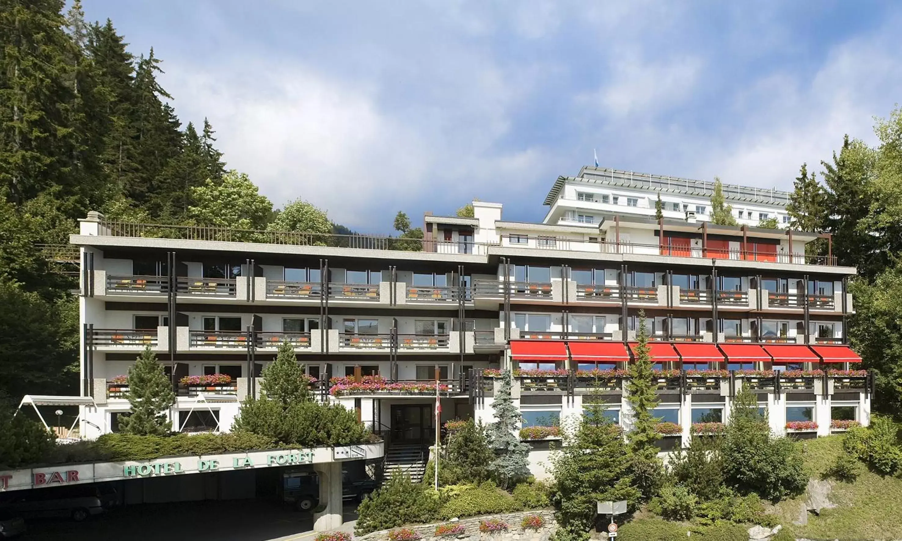 Property Building in Hôtel de la Forêt